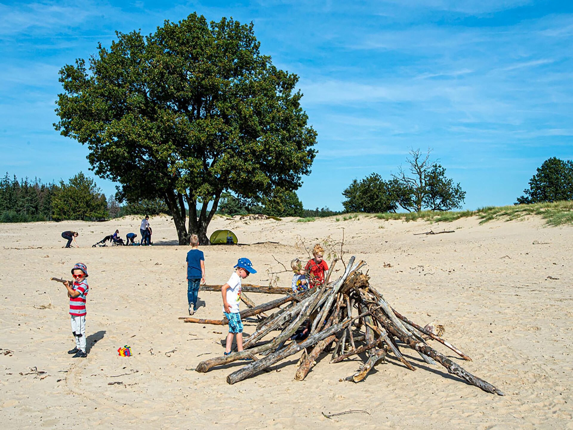 Boshuisje De Koolmees: knus vakantiehuis met houtkachel aan bosrand - foto 21