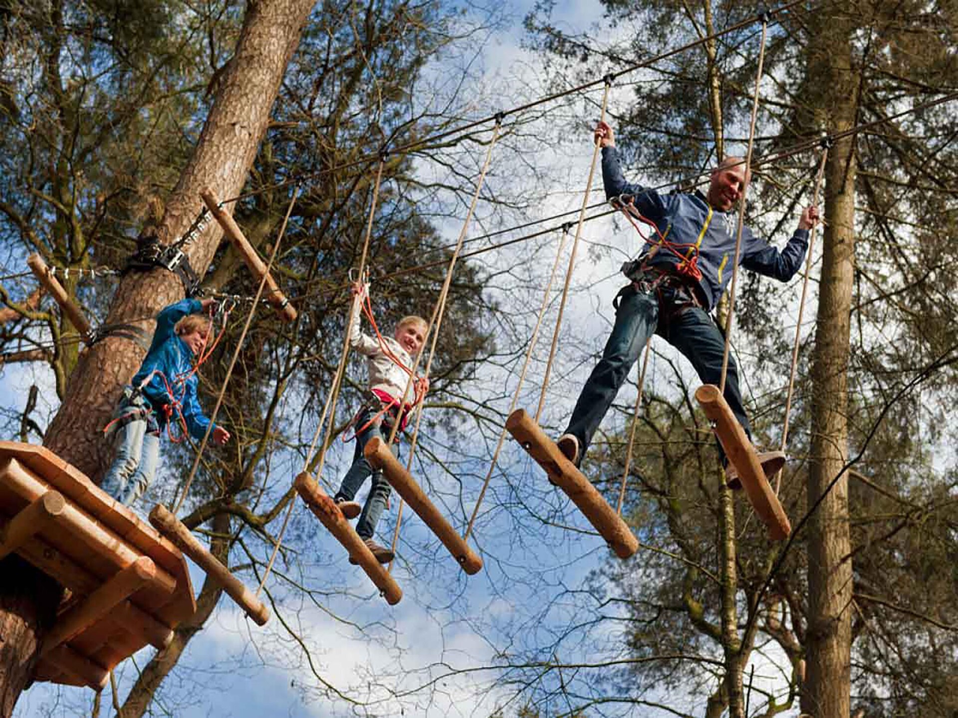 Boshuisje De Koolmees: knus vakantiehuis met houtkachel aan bosrand - foto 22