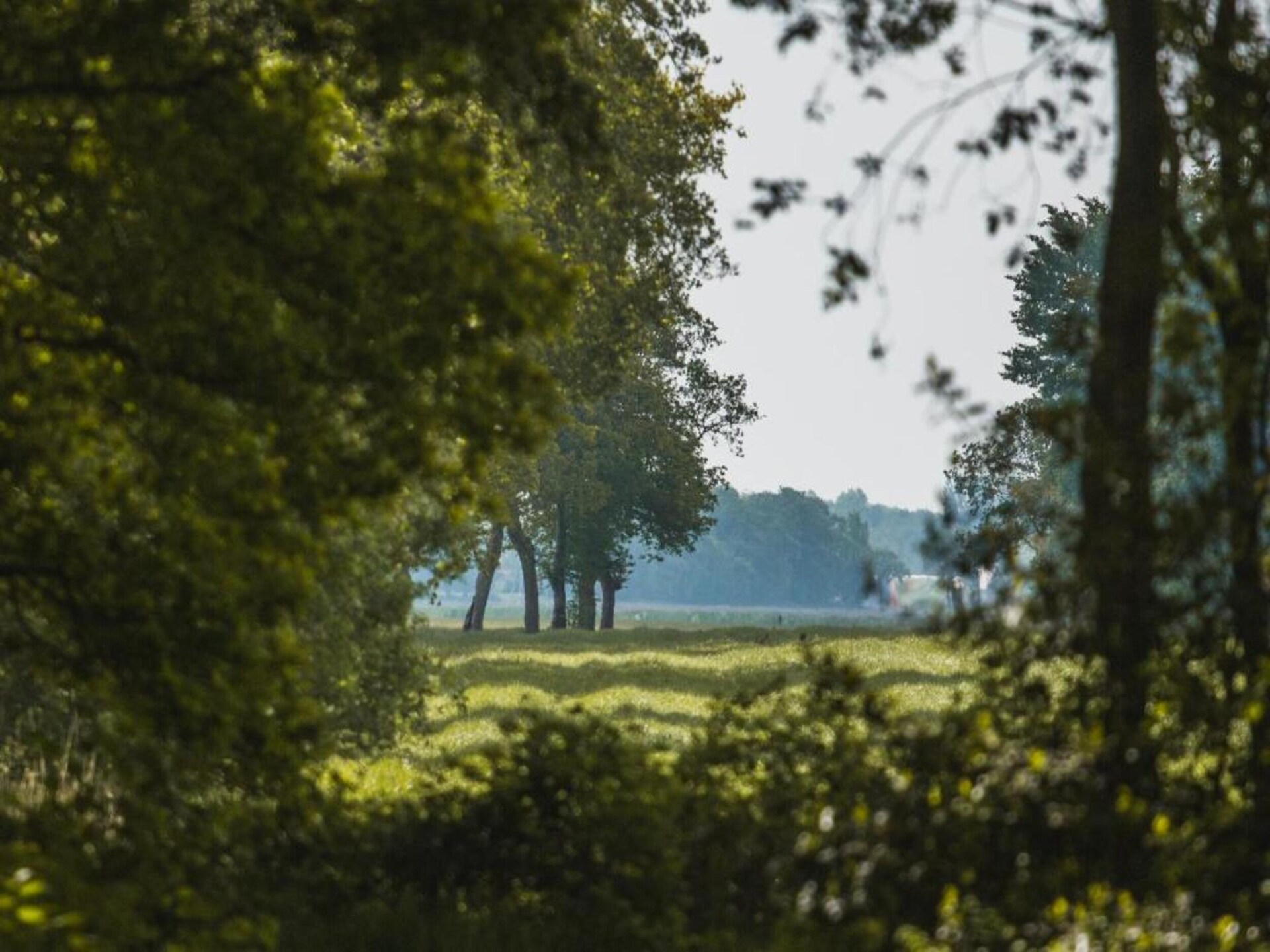 Boshuisje De Koolmees: knus vakantiehuis met houtkachel aan bosrand - foto 35
