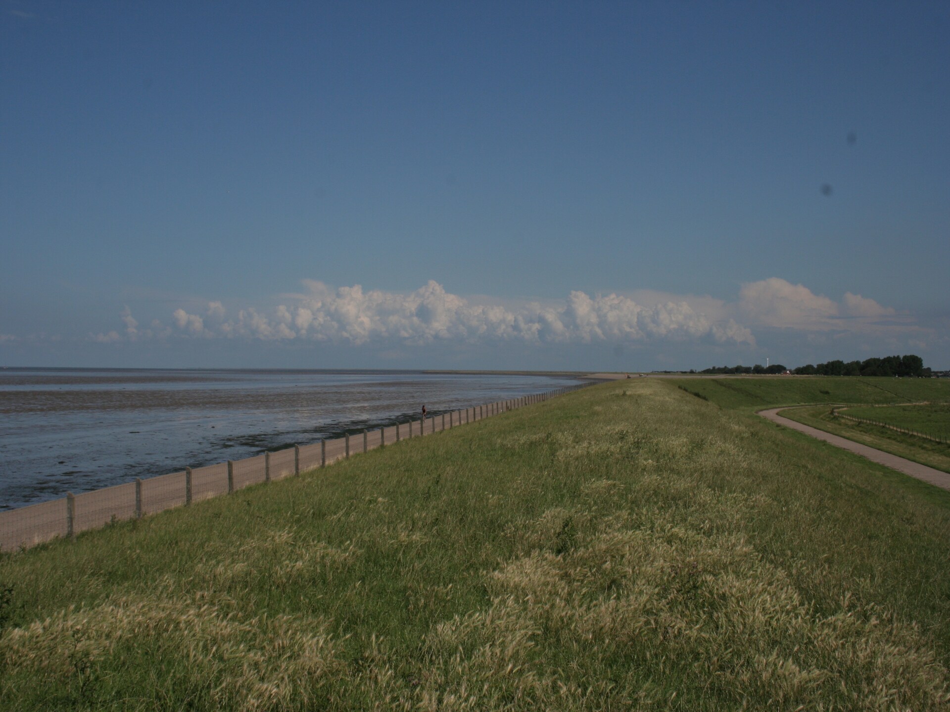 Wiringher Chalet 83: Vrijstaand chalet aan Waddenzee met hond, tuin en strand - foto 23