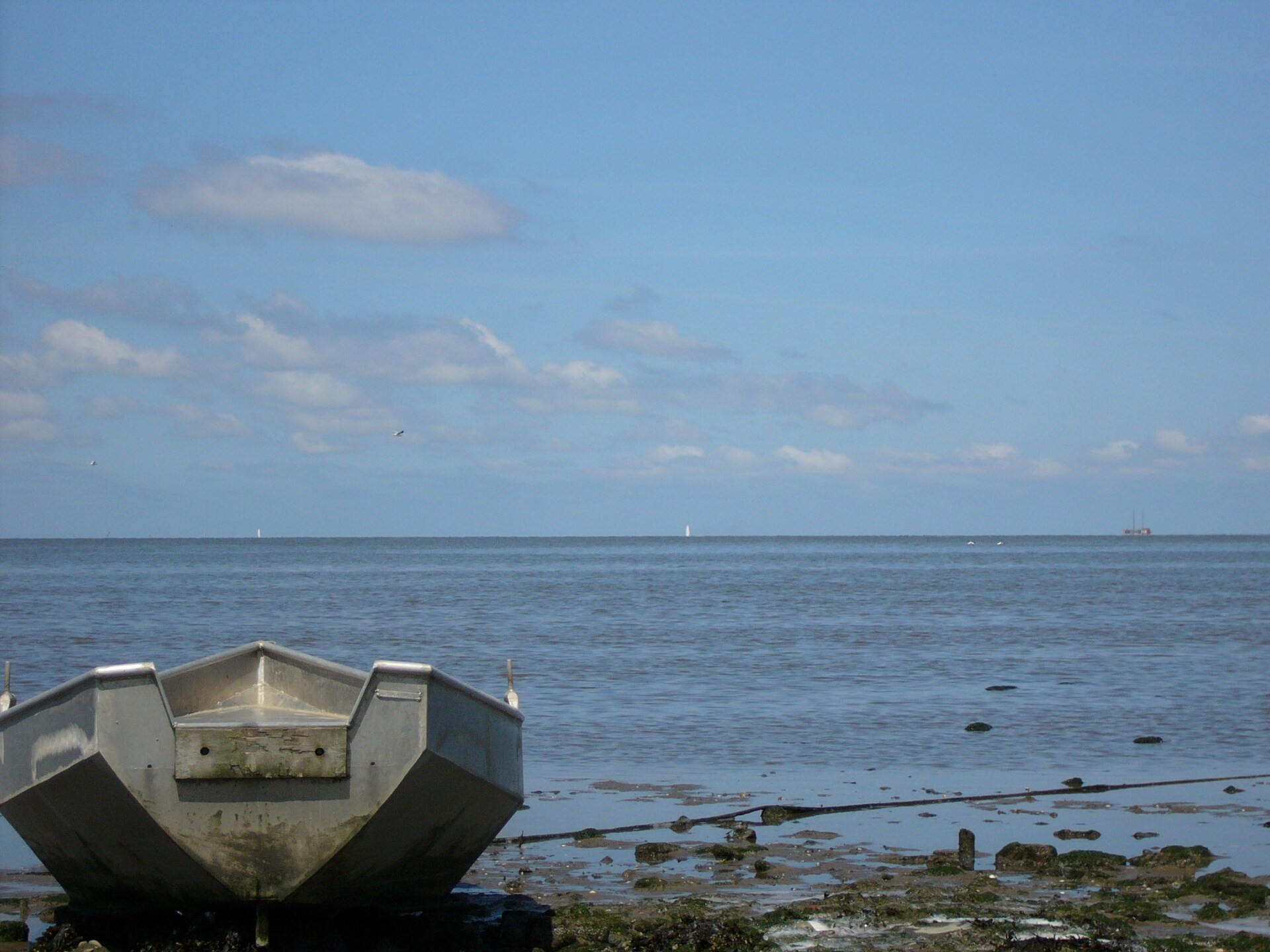 Wiringher Chalet 83: Vrijstaand chalet aan Waddenzee met hond, tuin en strand - foto 35