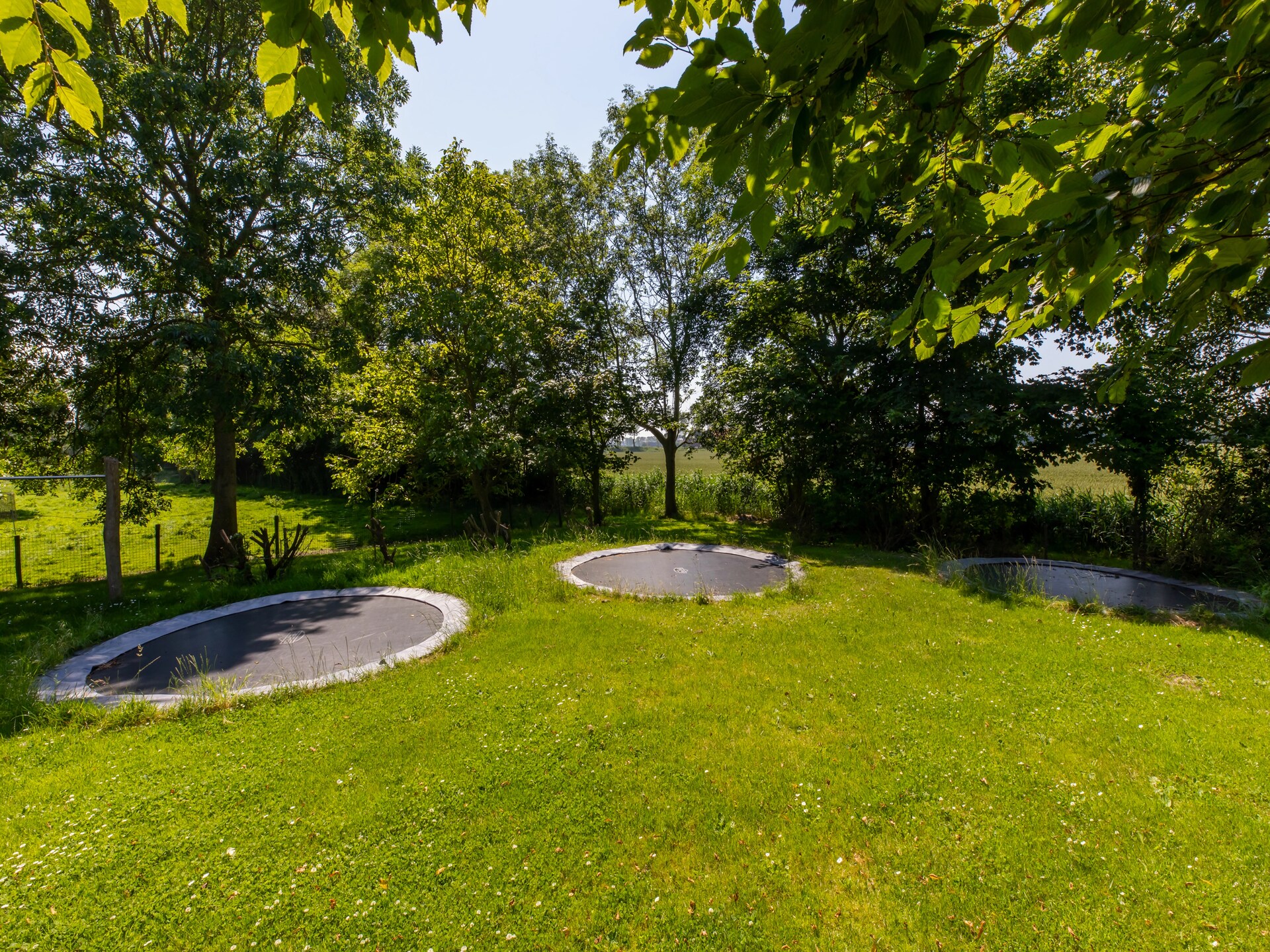 Landelijk appartement met weids uitzicht op boerderij bij Vrouwenpolder - foto 18