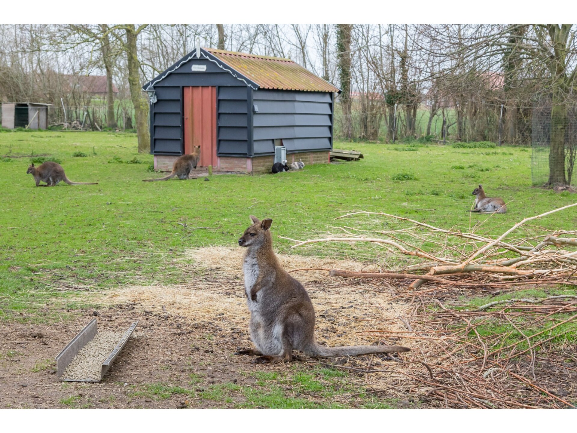 Licht appartement op boerderij Rustenpolder met uitzicht op dierenweide - foto 19