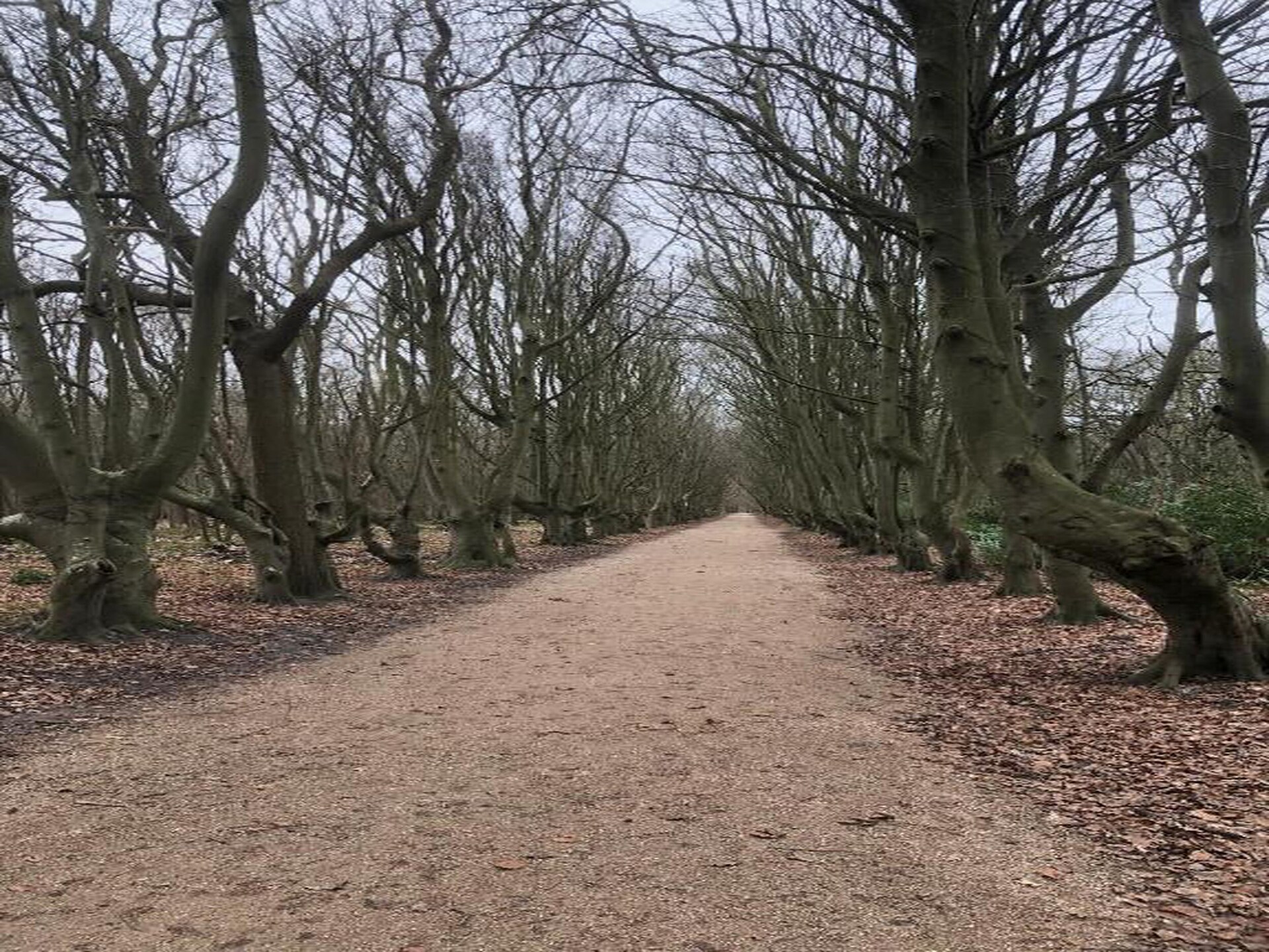 Licht appartement op boerderij Rustenpolder met uitzicht op dierenweide - foto 38