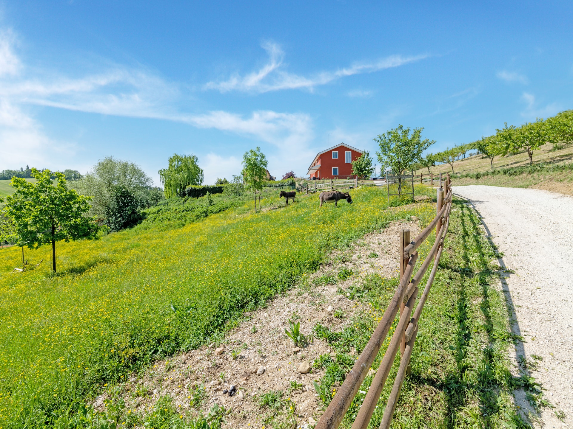 Ruim appartement op wijnboerderij met zwembad in Matelica, Le Marche - foto 27
