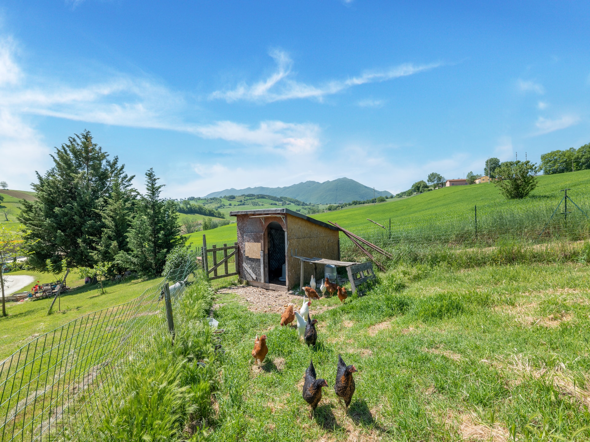 Ruim appartement op wijnboerderij met zwembad in Matelica, Le Marche - foto 26