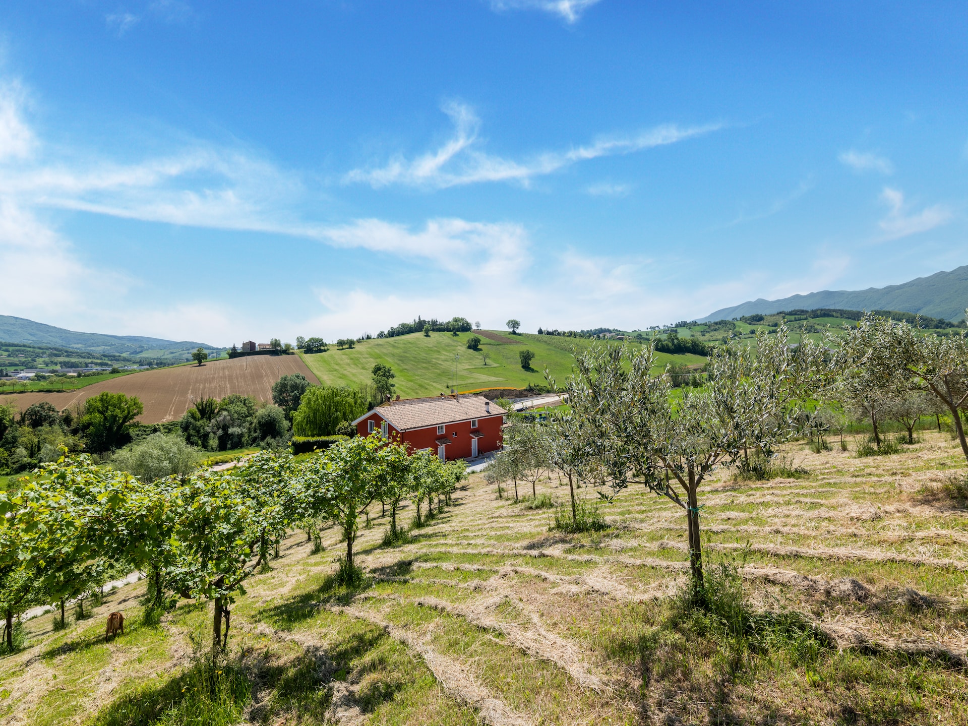 Ruim appartement op wijnboerderij met zwembad in Matelica, Le Marche - foto 28