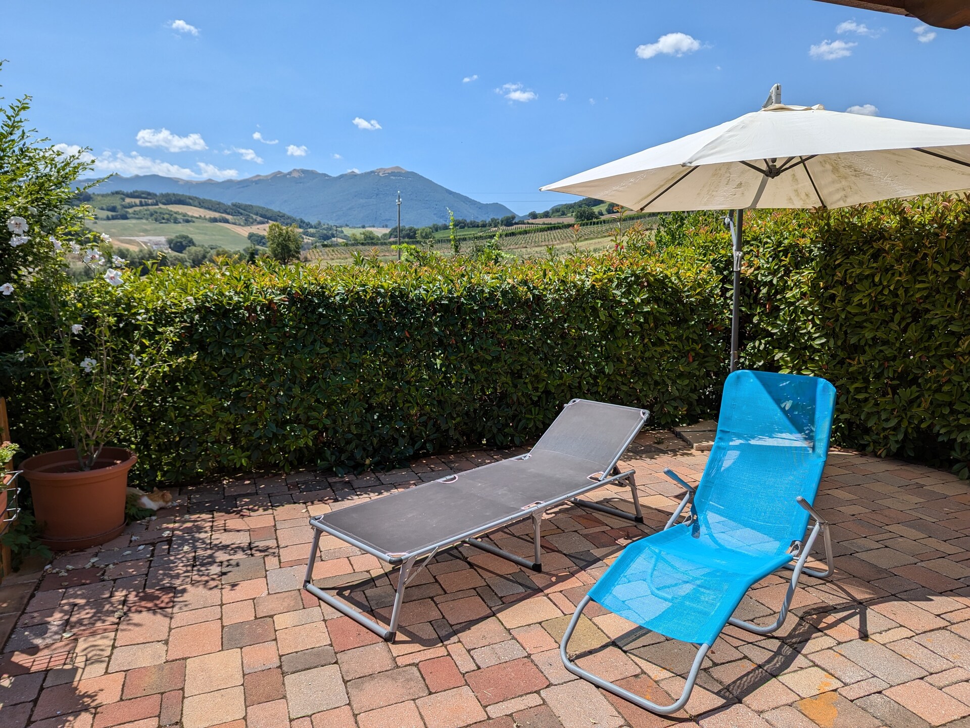 Ruim appartement op wijnboerderij met zwembad in Matelica, Le Marche - foto 40