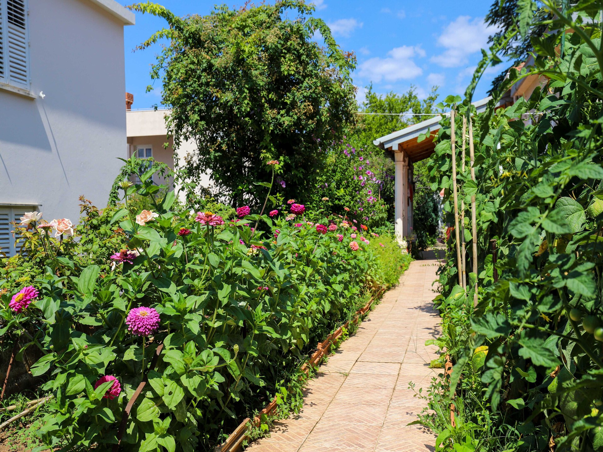 Knus appartement met tuin op loopafstand van de oude stad Dubrovnik - foto 23