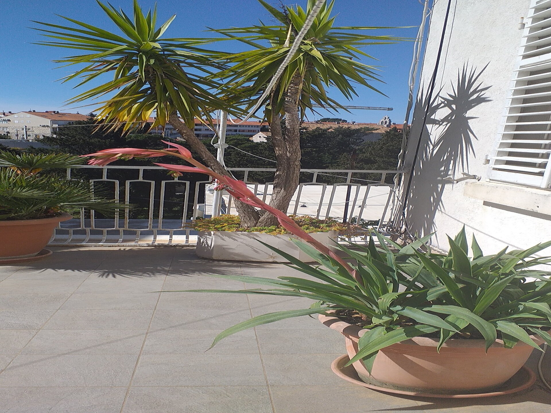 Knus appartement met twee terrassen op 300m van het strand in Dubrovnik - foto 15