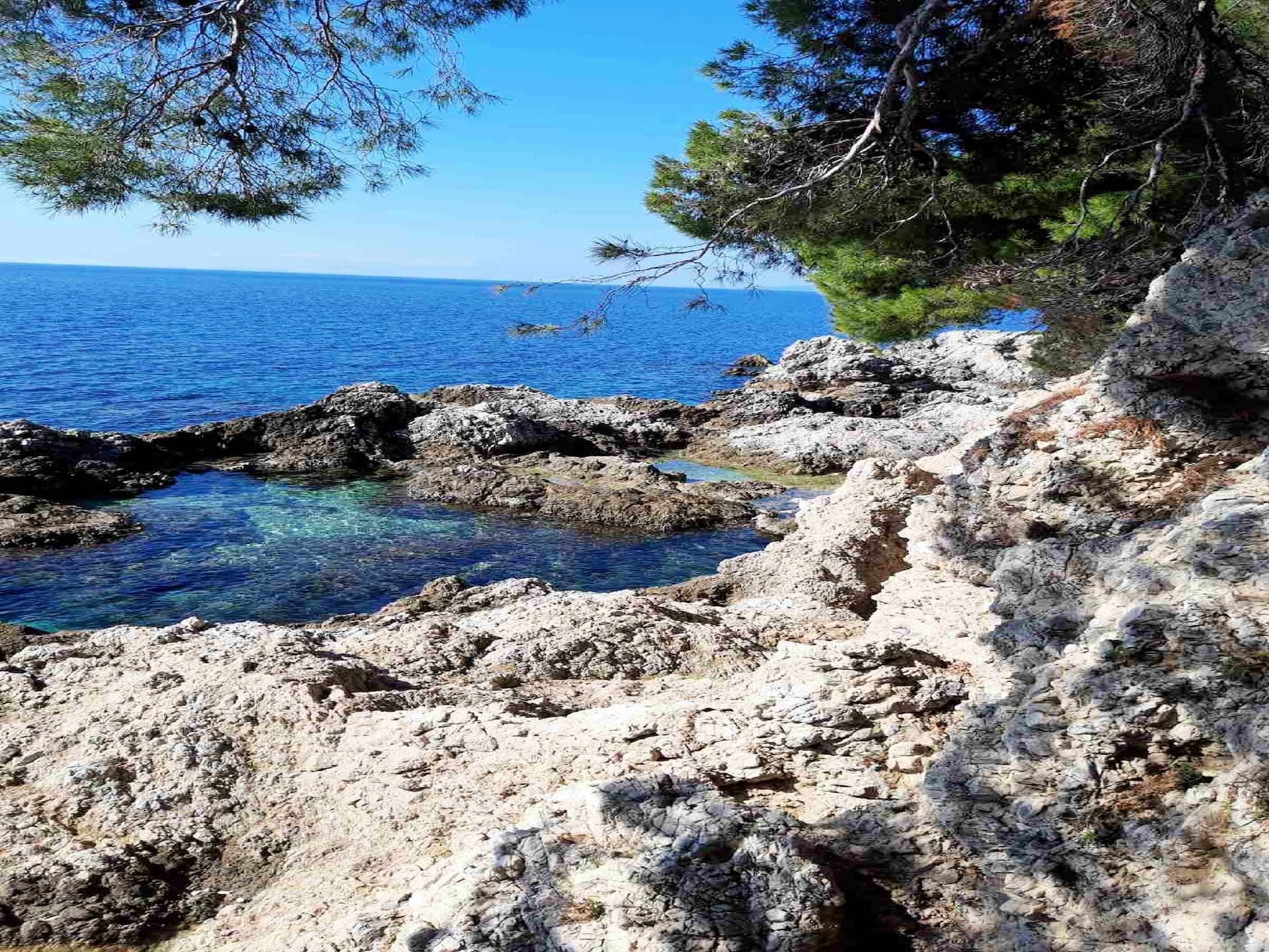Gezellig appartement met terras in Babin Kuk, 3,5 km van Dubrovnik oude stad - foto 27