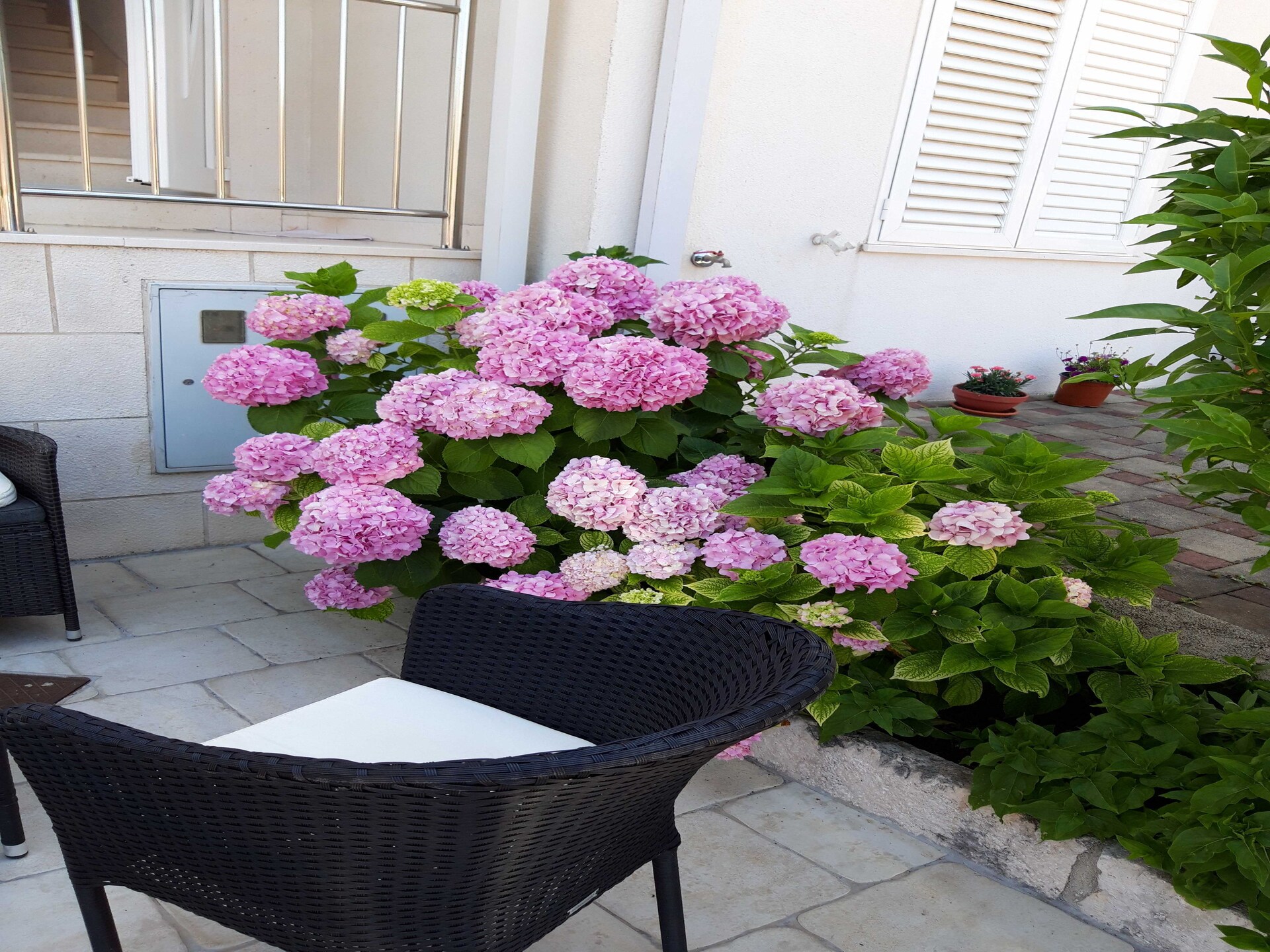 Knus appartement met zonnig terras, op loopafstand van strand en de oude stad - foto 15