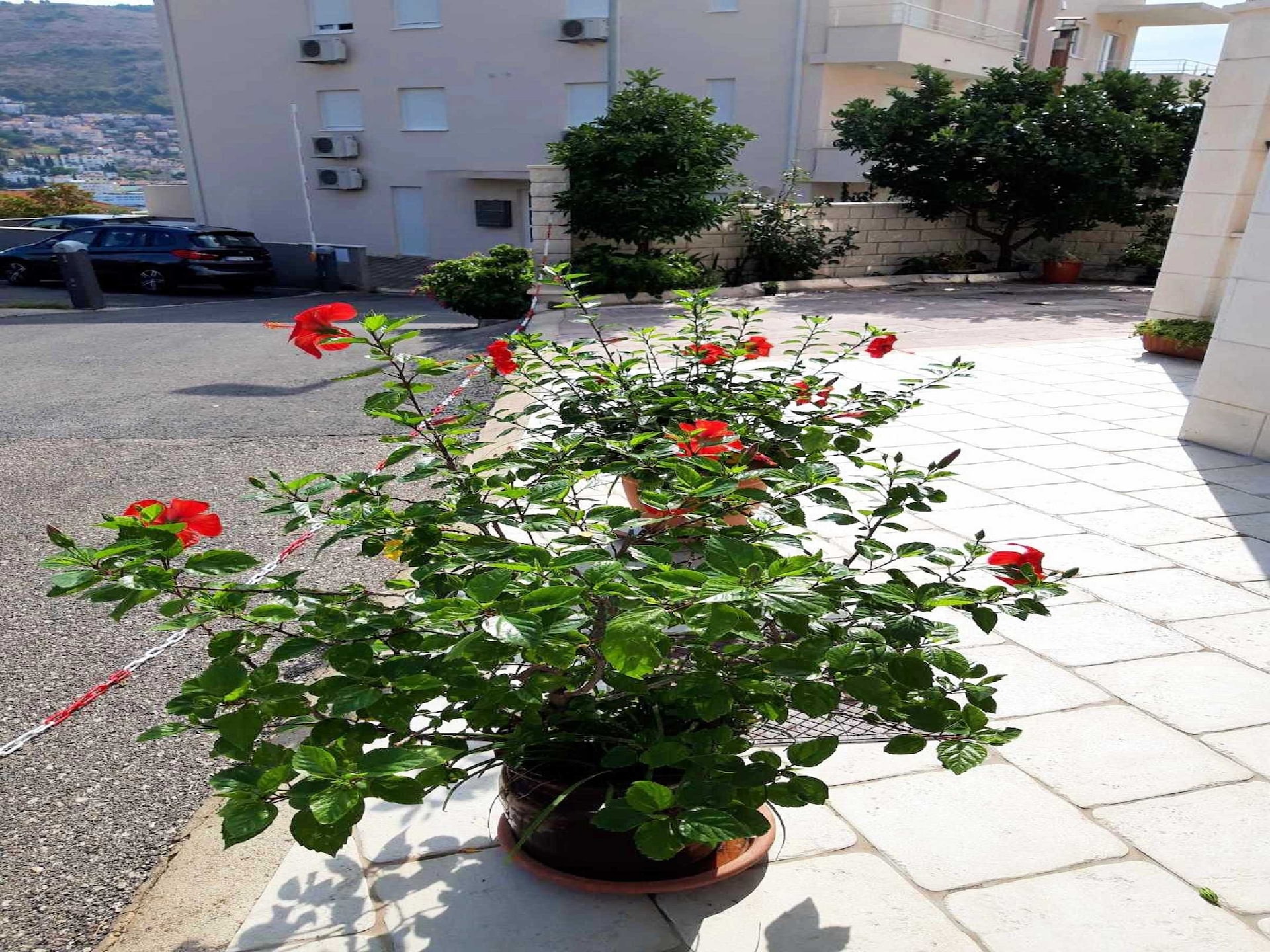 Knus appartement met zonnig terras, op loopafstand van strand en de oude stad - foto 17