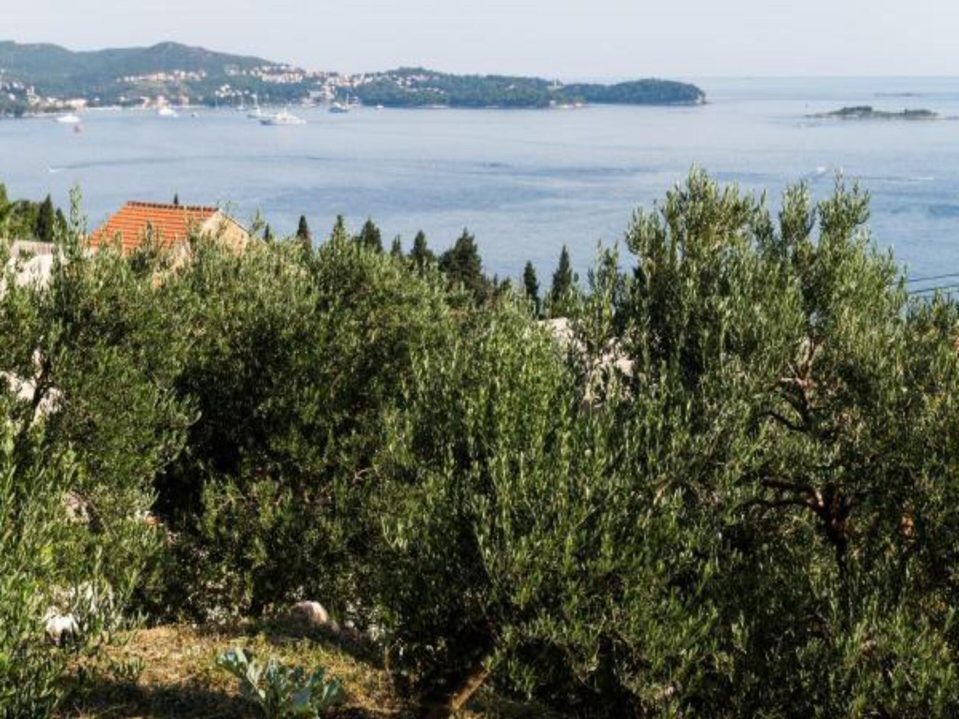 Comfortabel appartement met zeezicht en terras nabij Dubrovnik - foto 24