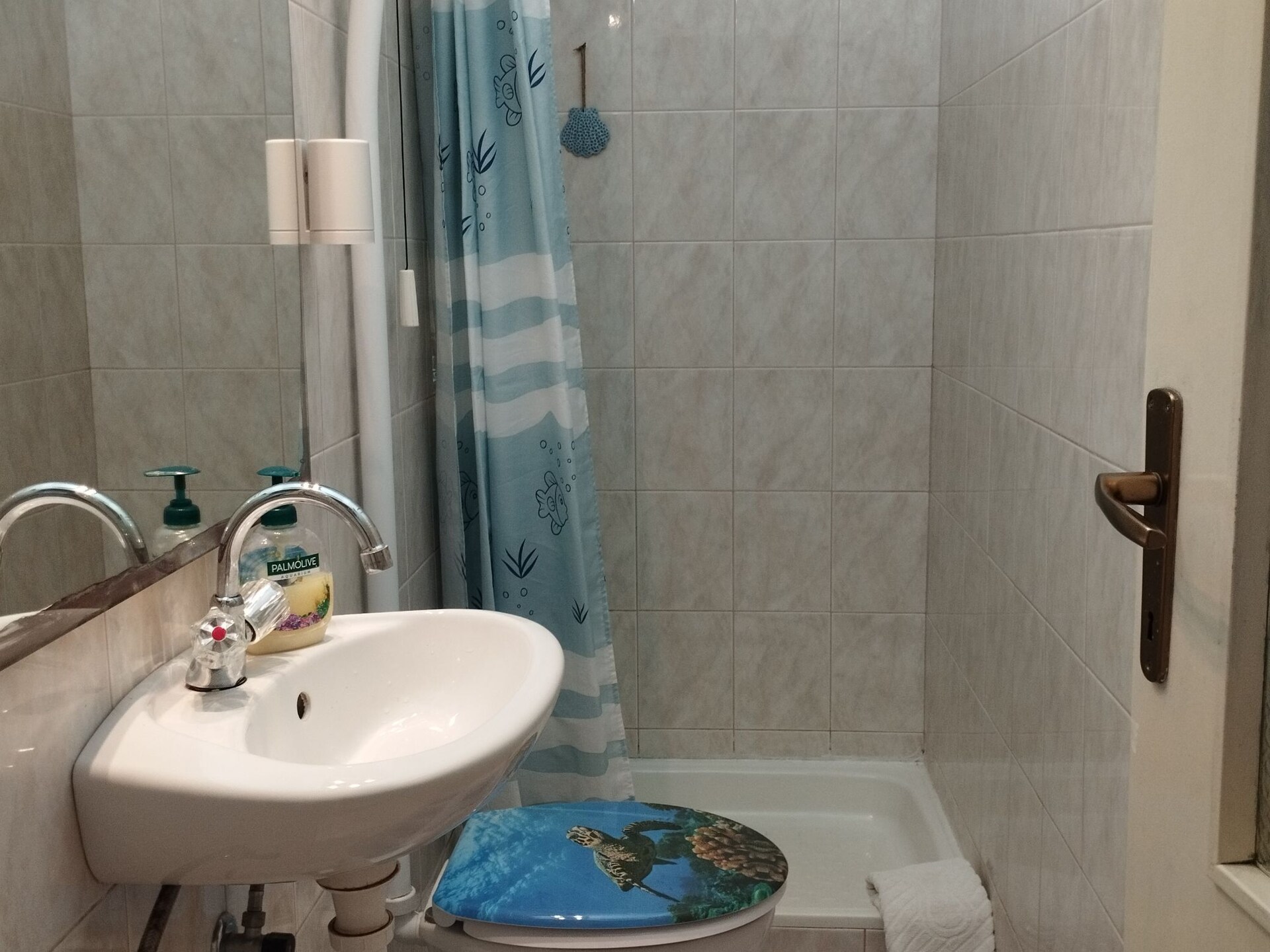 Rustiek appartement op Brač, 100m van zee met terras en uitzicht - foto 29