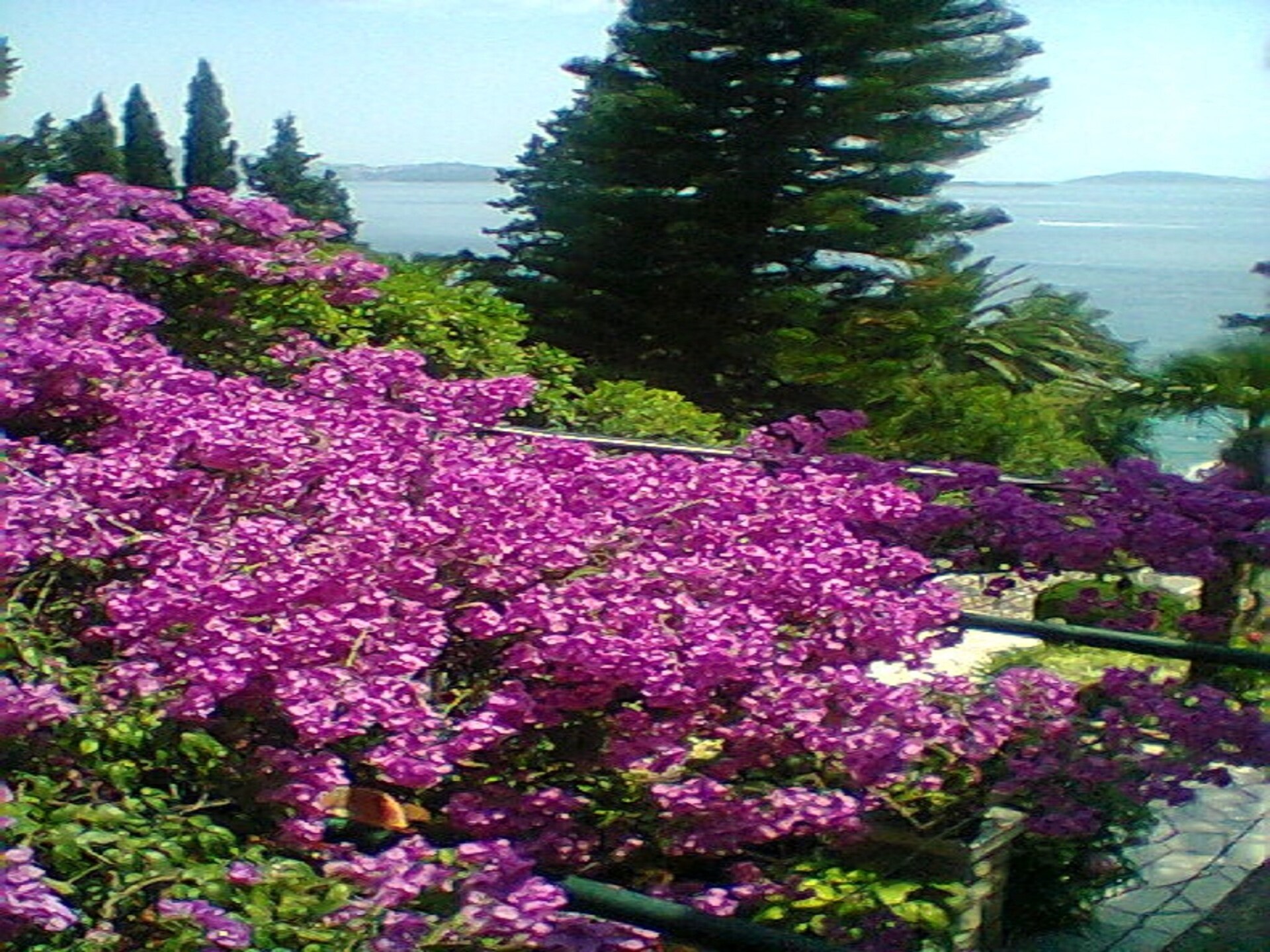 Knusse tweepersoonskamer met tuinzicht bij Dubrovnik - foto 13