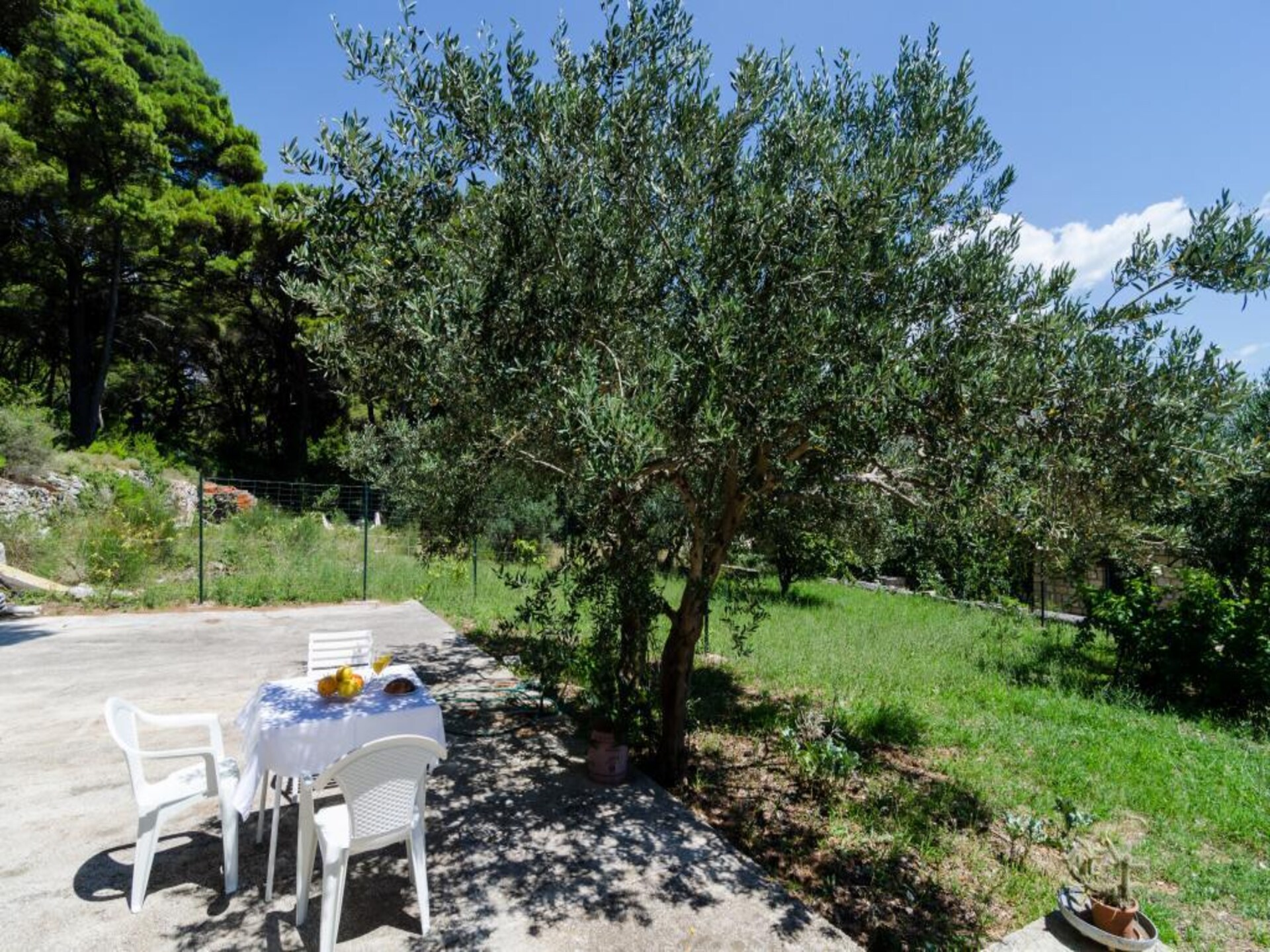 Rustiek appartement met terras en tuinzicht op loopafstand van strand - foto 1