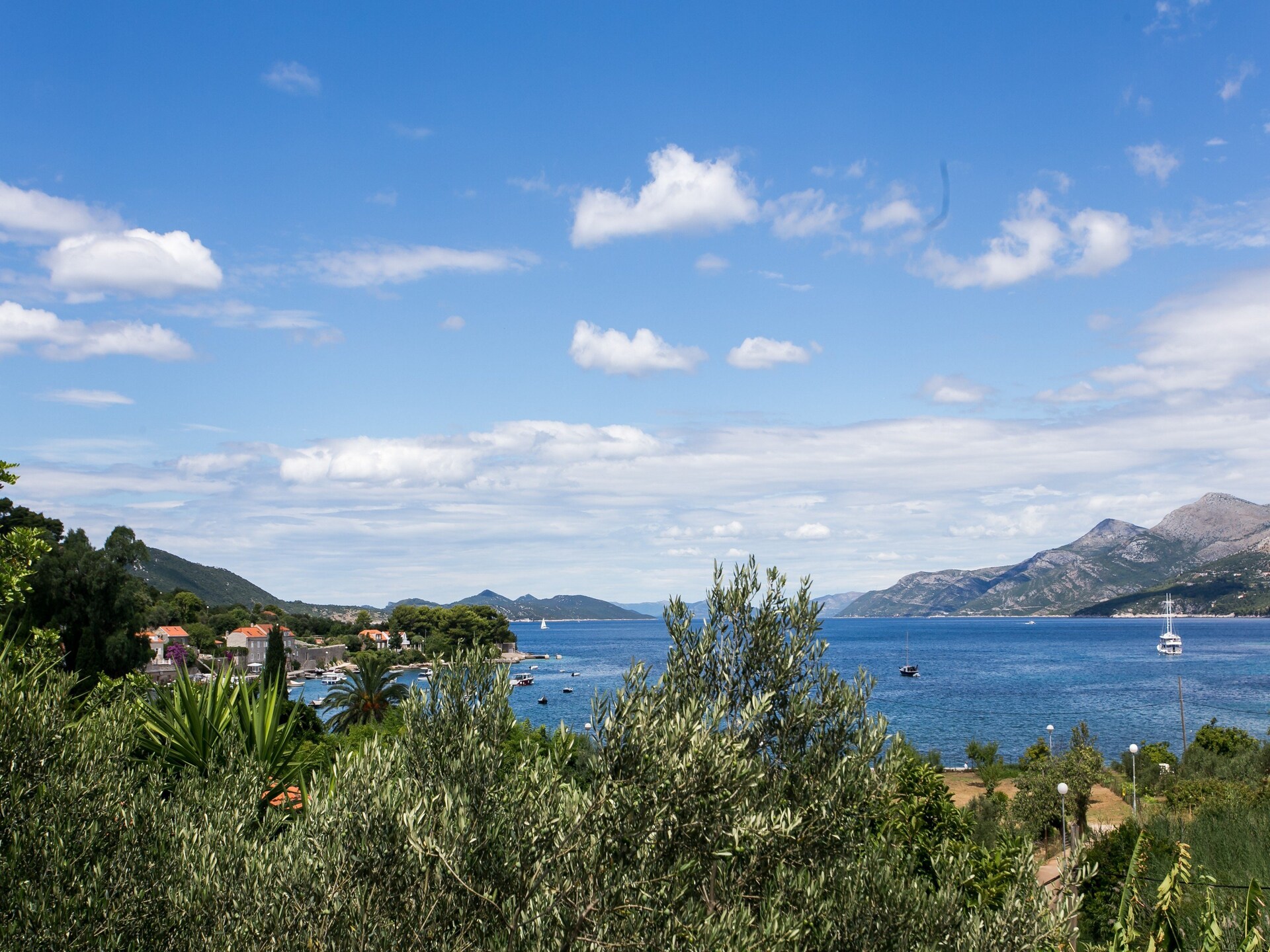 Studio met zeezicht en terras op autovrij eiland Koločep - foto 12