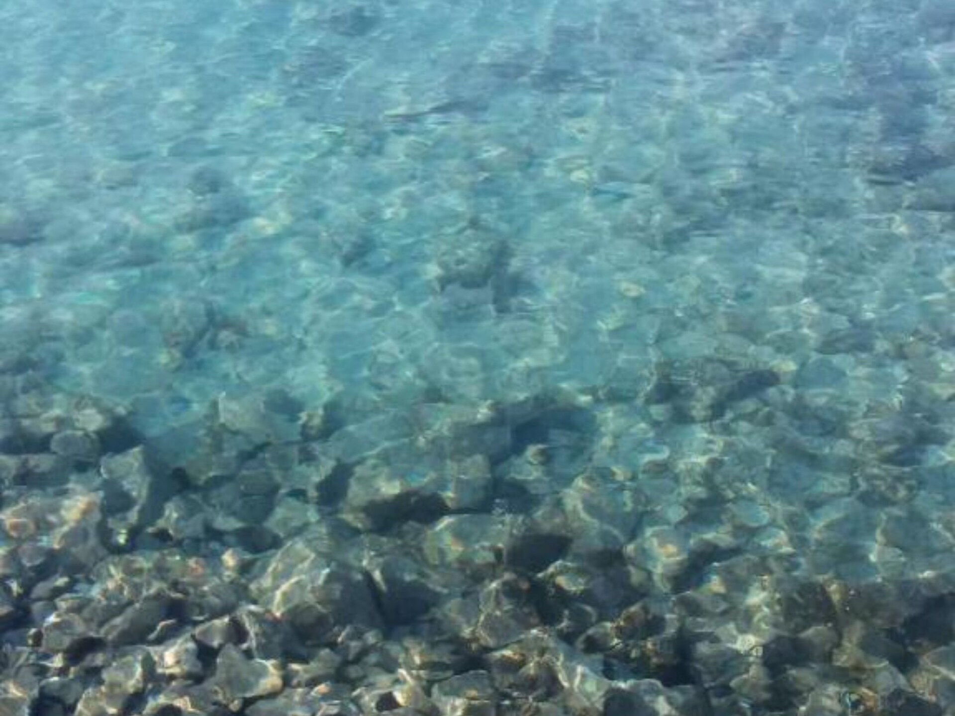 Knusse tweepersoonskamer met zeezicht bij Orebic, vlakbij strand - foto 25