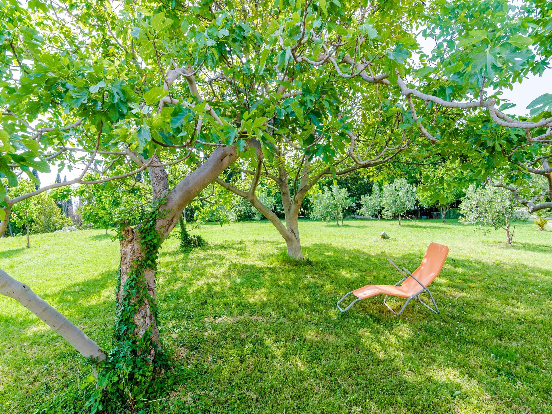 Comfortabel appartement met terras en gedeeltelijk zeezicht in Mlini - foto 15