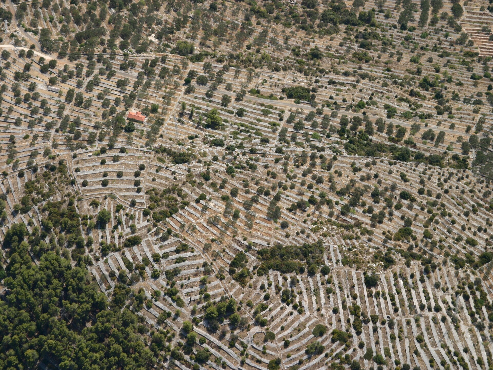 Op 300 m van zee: Sfeervol vakantiehuis in Vela Luka - foto 40