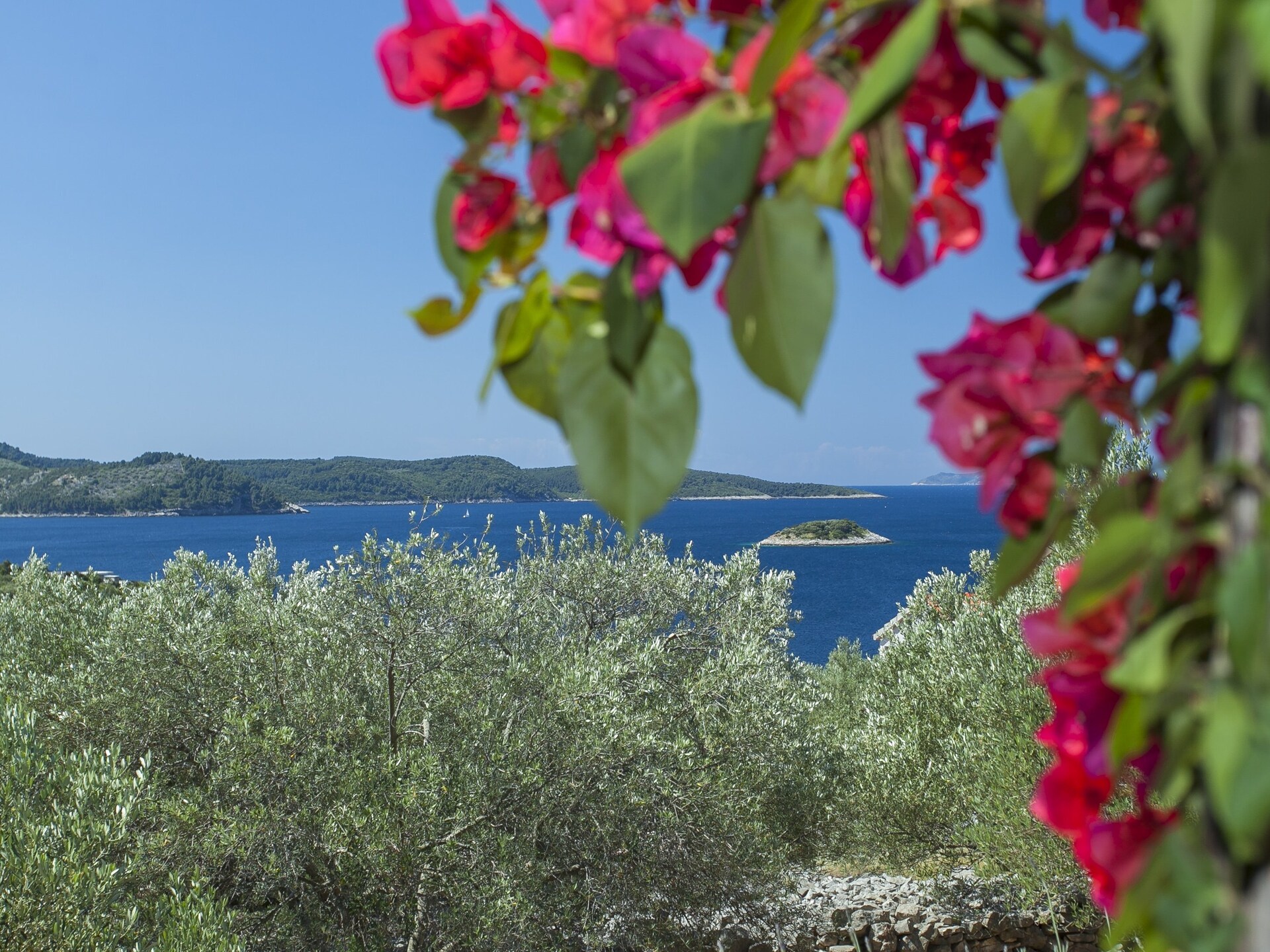 Op 300 m van zee: Sfeervol vakantiehuis in Vela Luka - foto 41