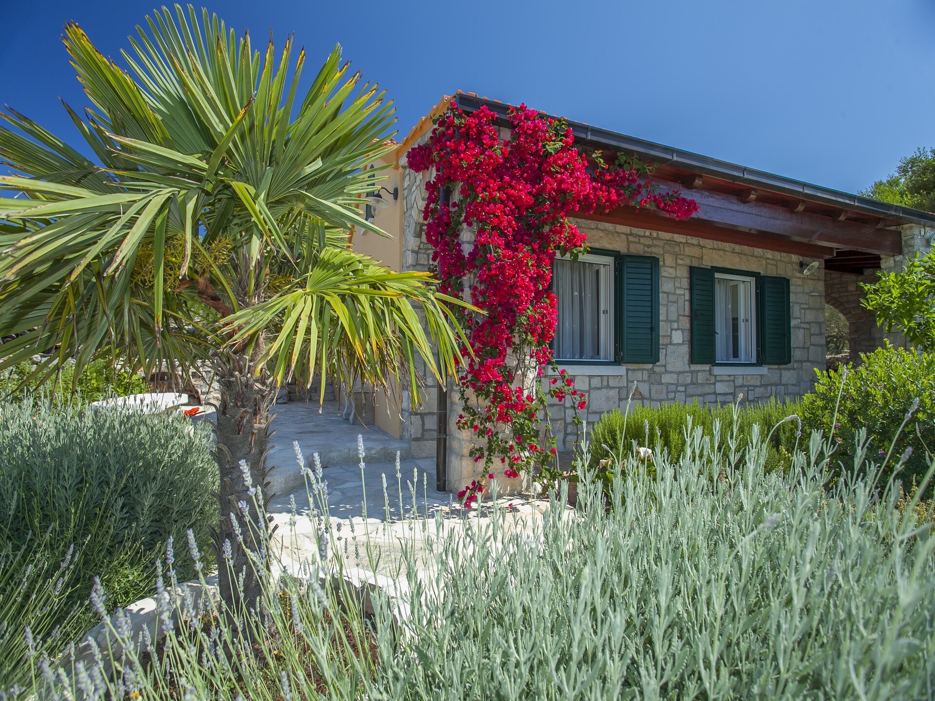 Op 300 m van zee: Sfeervol vakantiehuis in Vela Luka - foto 36