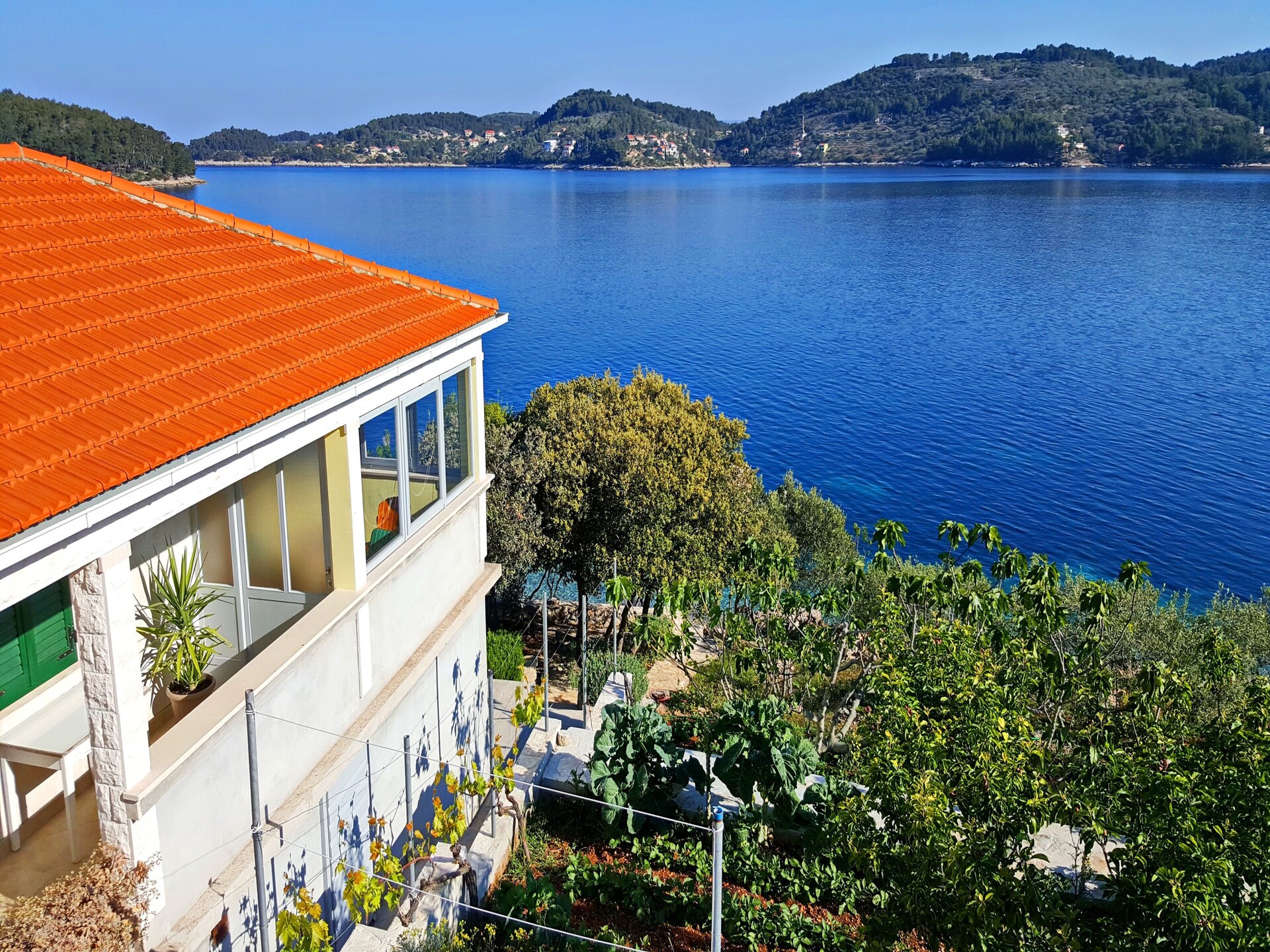 Strandhuis Katica: 20 meter van zee met privéstrand in Vela Luka - foto 22