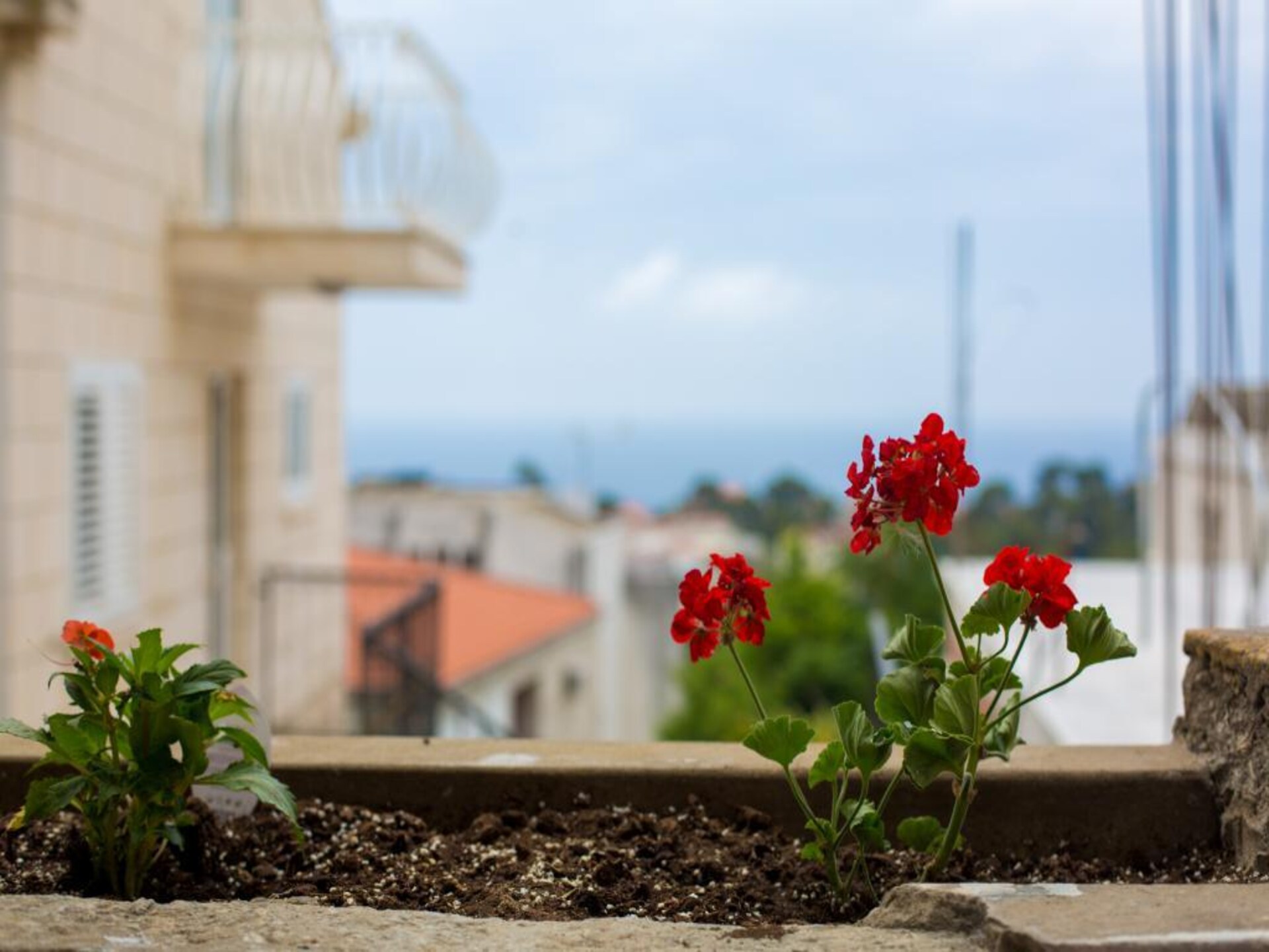 Knus appartement met gedeeld terras, vlakbij strand Bellevue in Dubrovnik - foto 27