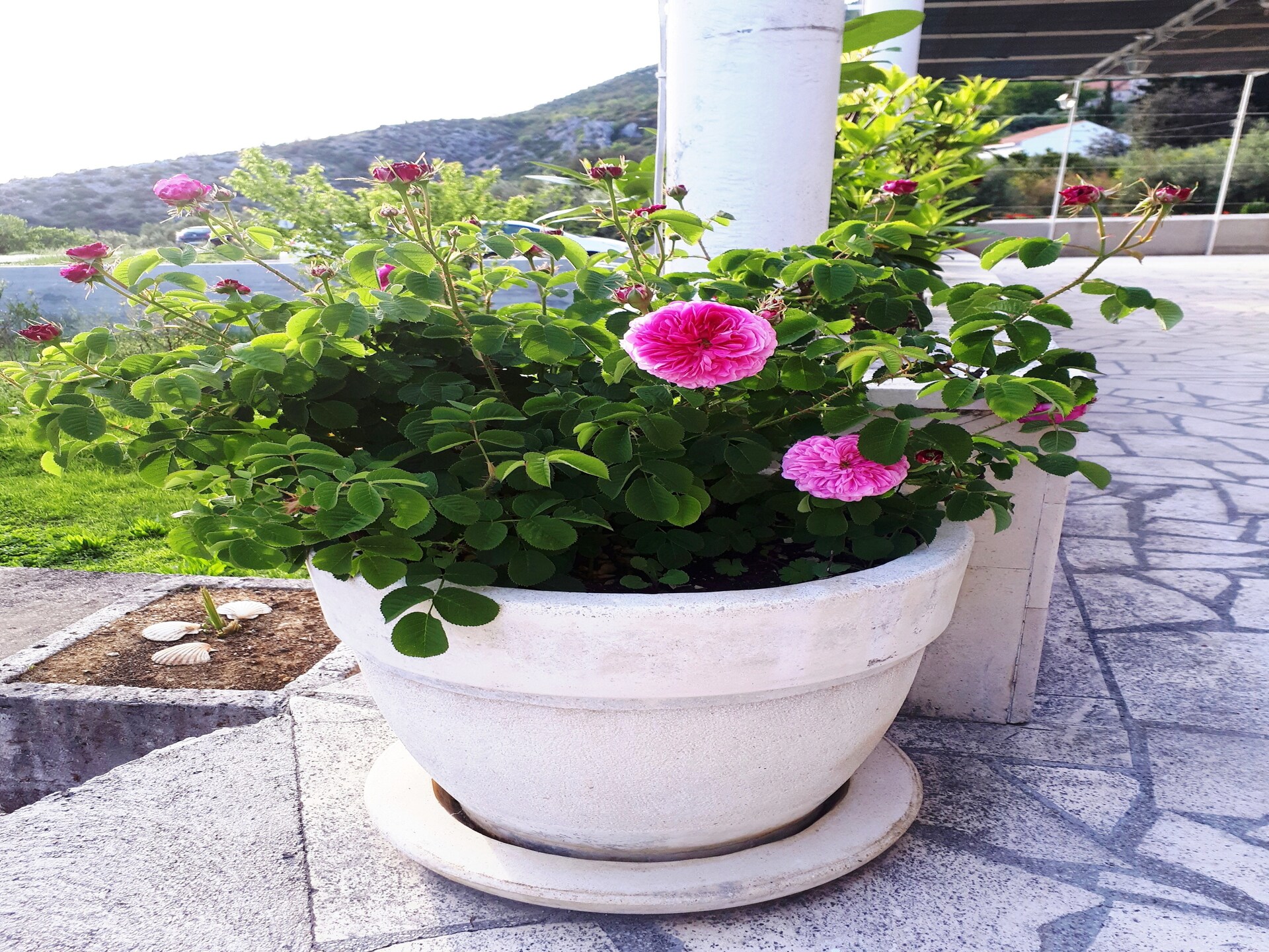 Rustiek appartement met zeezicht en terras vlakbij Dubrovnik - foto 13