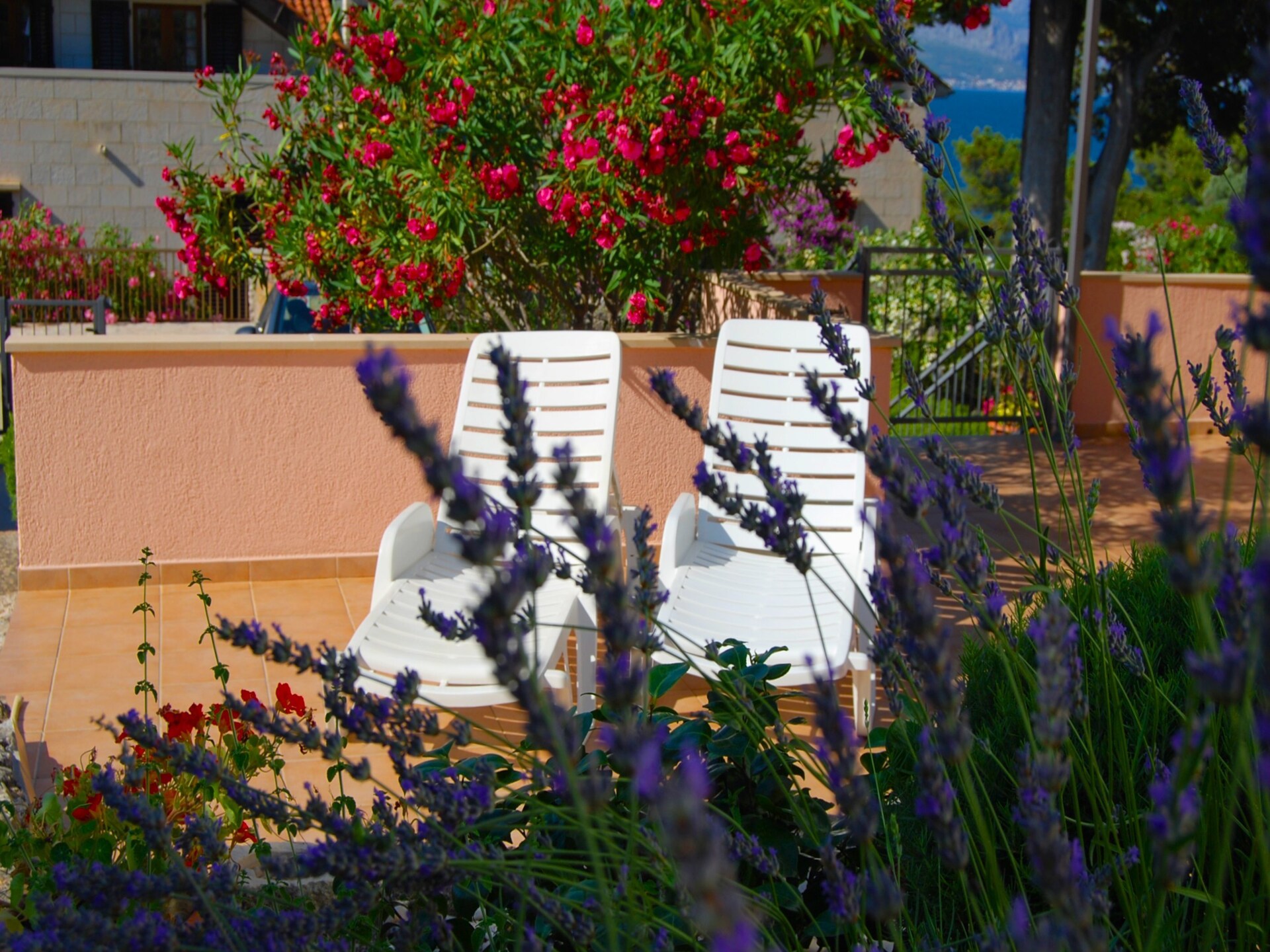Appartement Lili: Terrashuis met zeezicht op eiland Brač - foto 18