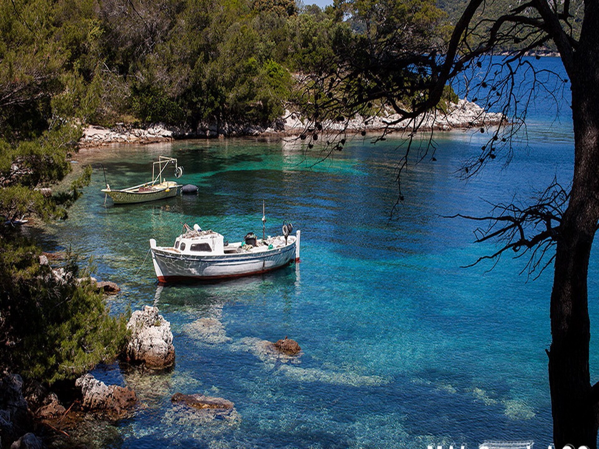 4-persoons appartement aan het strand in Lastovo - foto 7