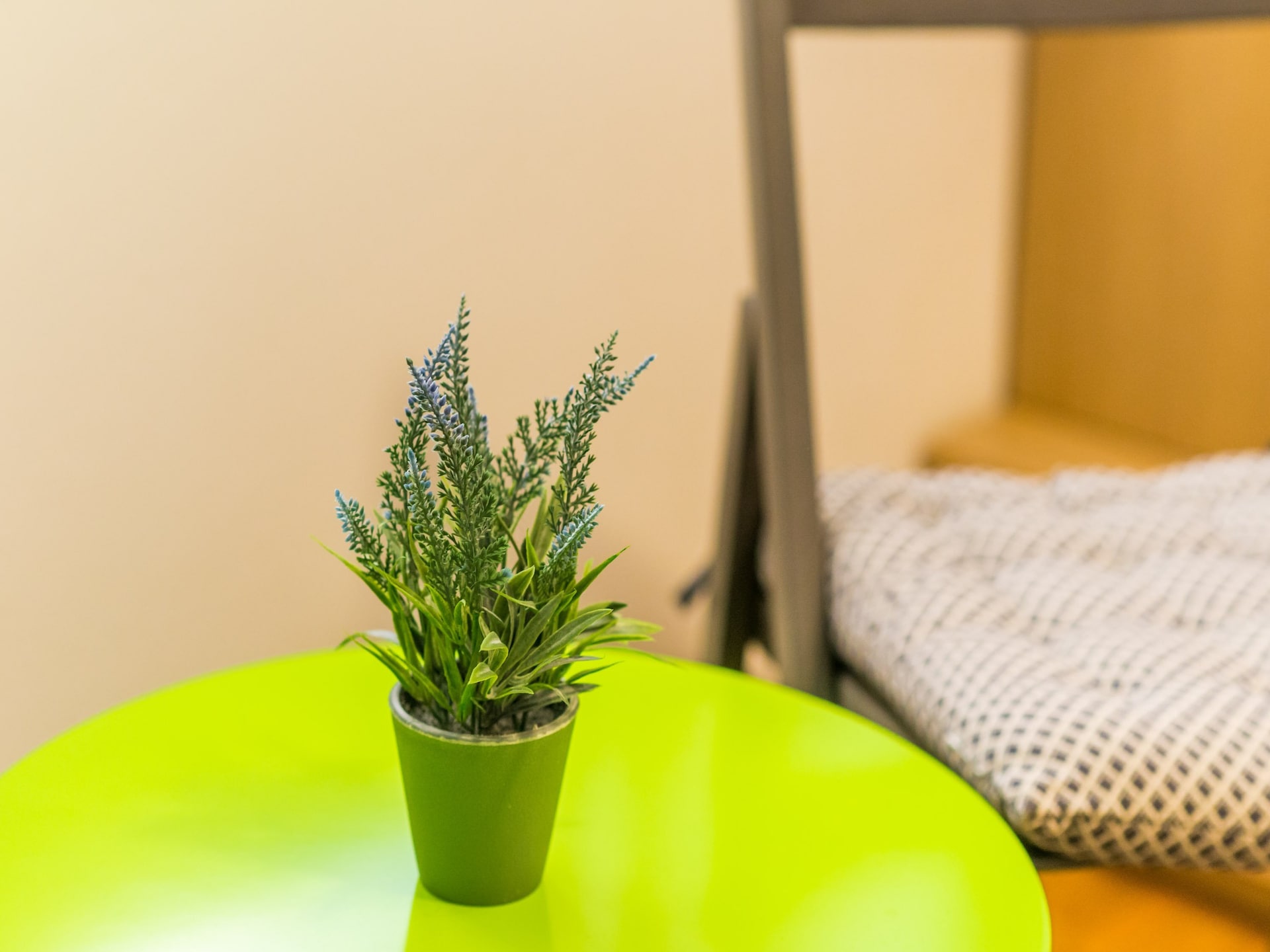 The Point Room: knus appartement met stadszicht in rustig Lapad, Dubrovnik - foto 15