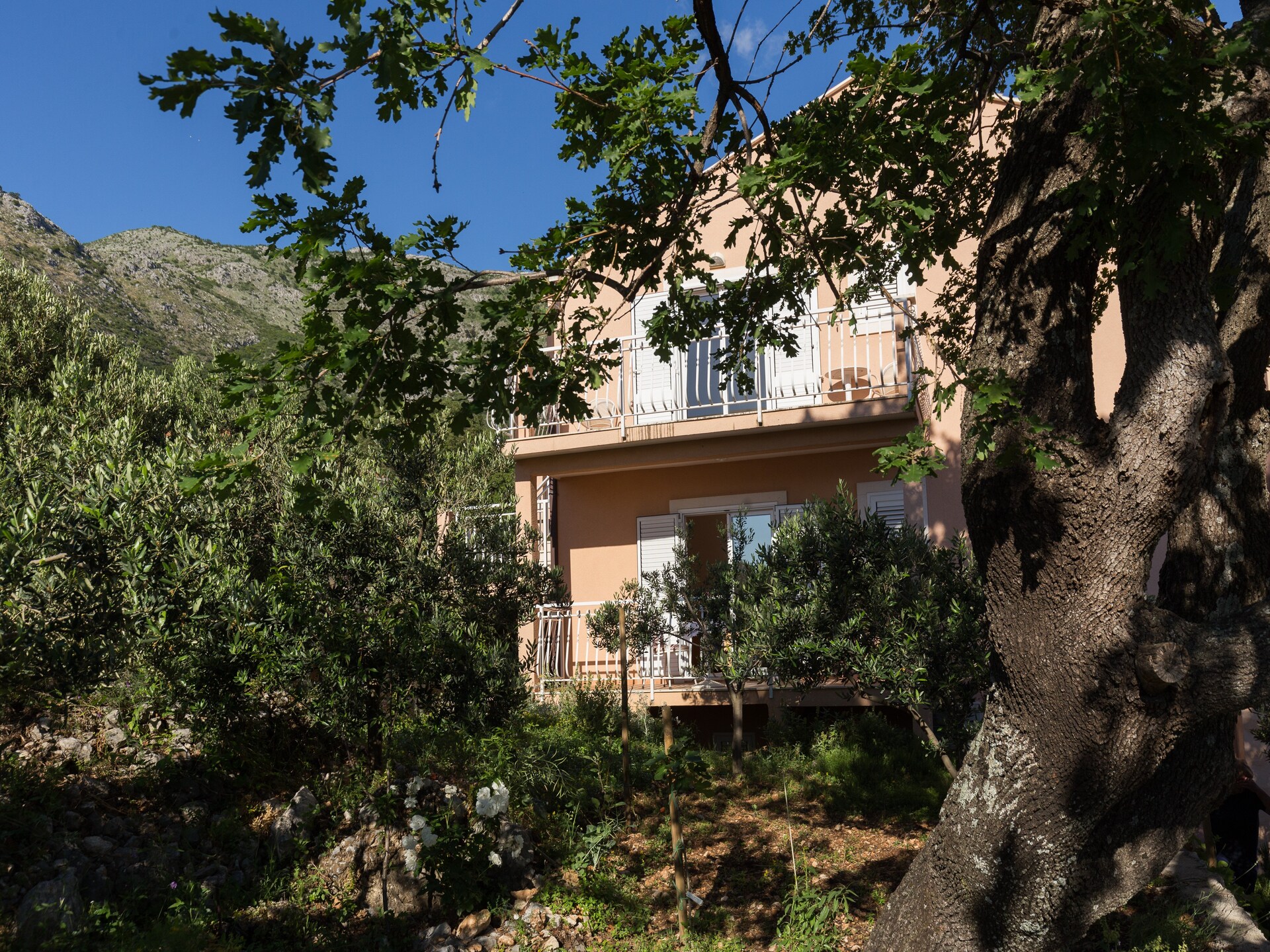 Premium studio met balkon en zeezicht in Plat, vlakbij Dubrovnik - foto 19
