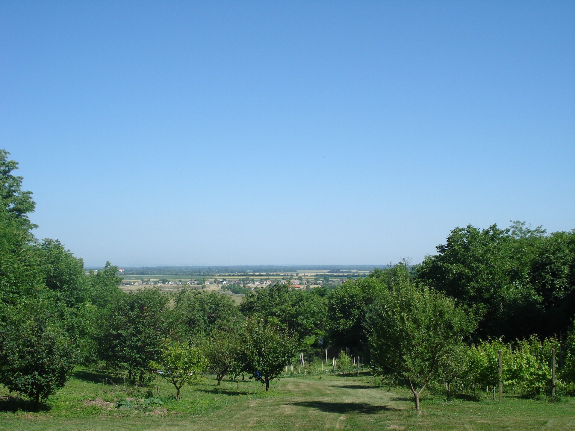 Authentiek landhuis in Baranja met 16.000 m² tuin, dicht bij de Drau - foto 13