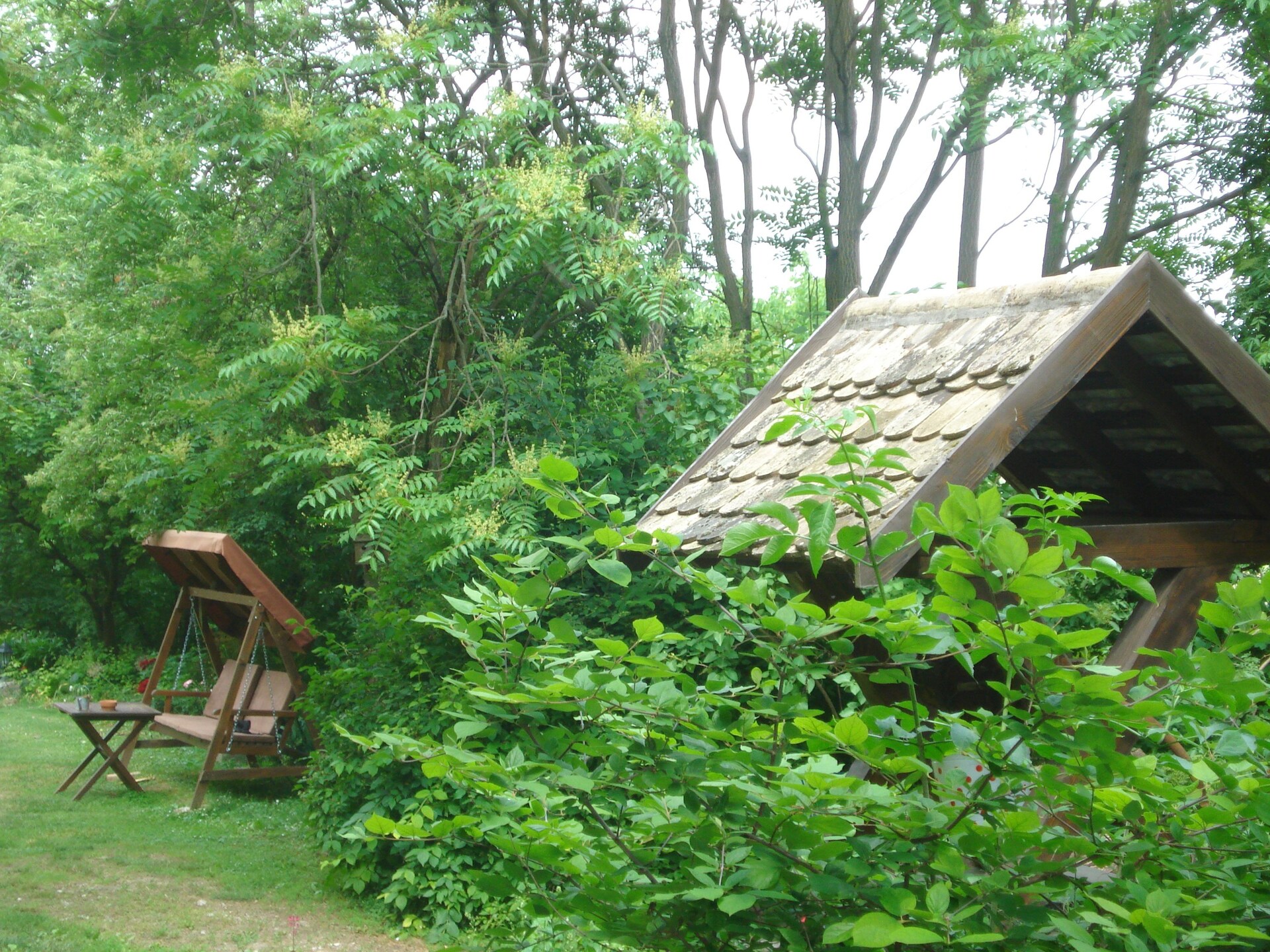 Authentiek landhuis in Baranja met 16.000 m² tuin, dicht bij de Drau - foto 14