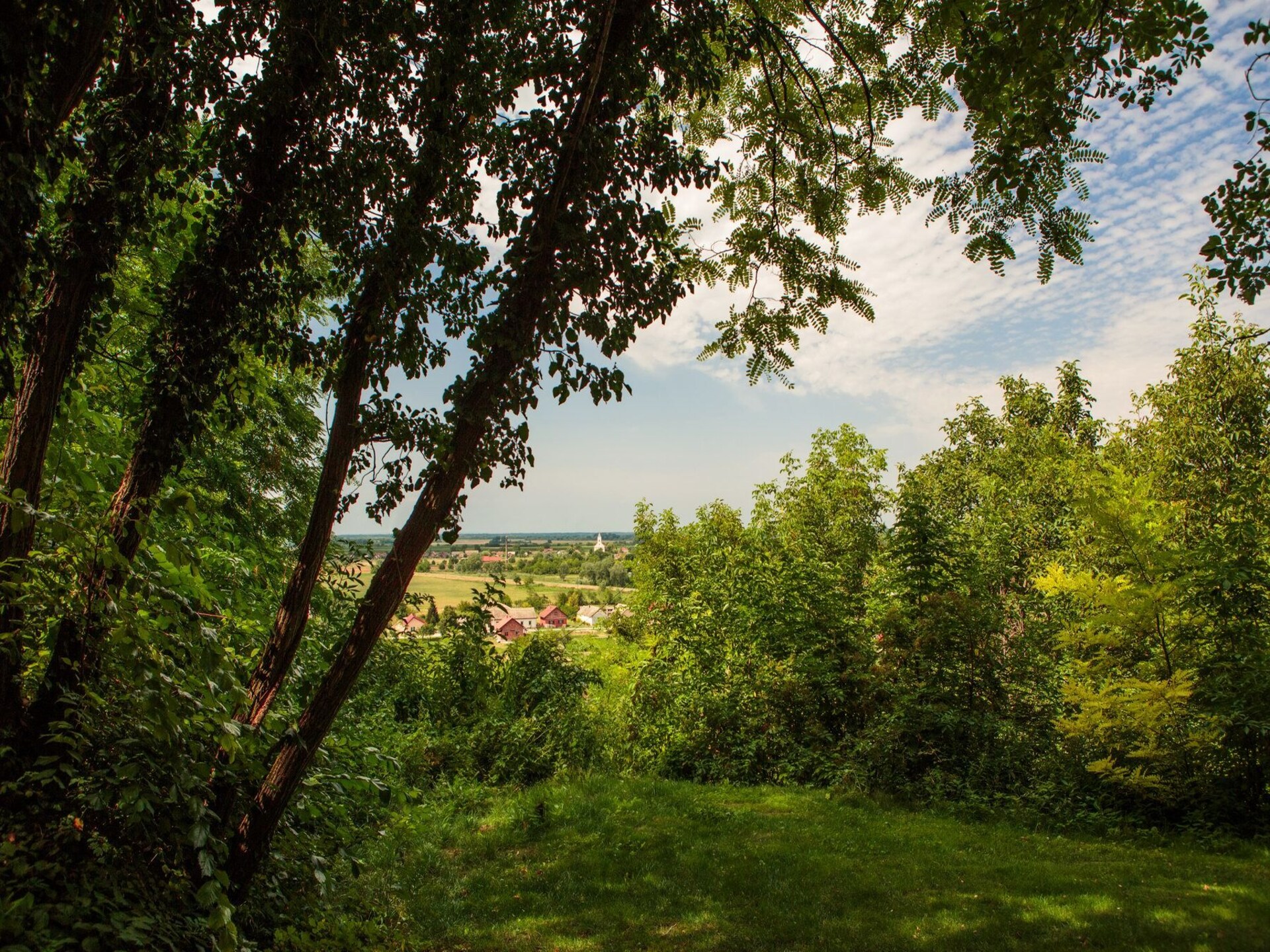 Authentiek landhuis in Baranja met 16.000 m² tuin, dicht bij de Drau - foto 29