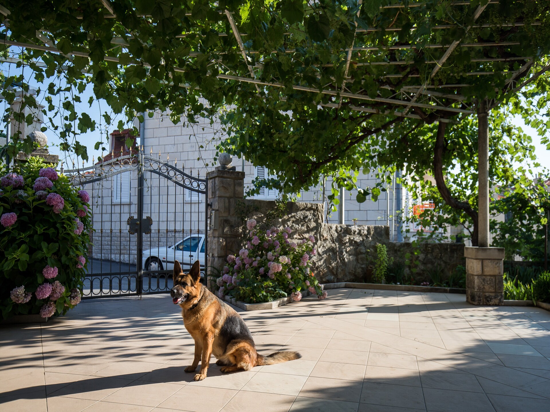 Studio met terras en tuinzicht op 800m van de oude stad Dubrovnik - foto 16
