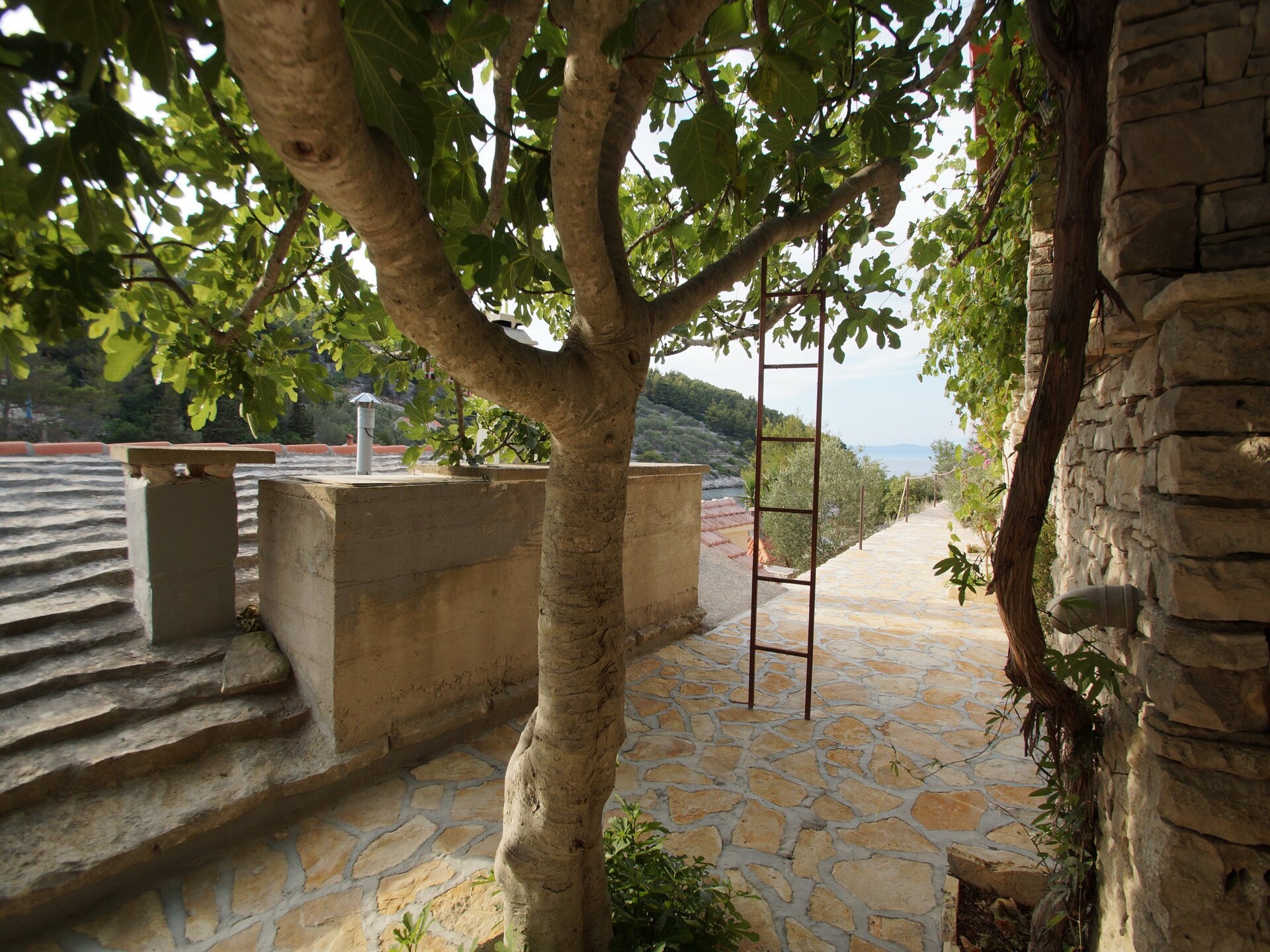 Stone House Mia: Authentiek stenen vakantiehuis met zeezicht in Vela Luka - foto 33