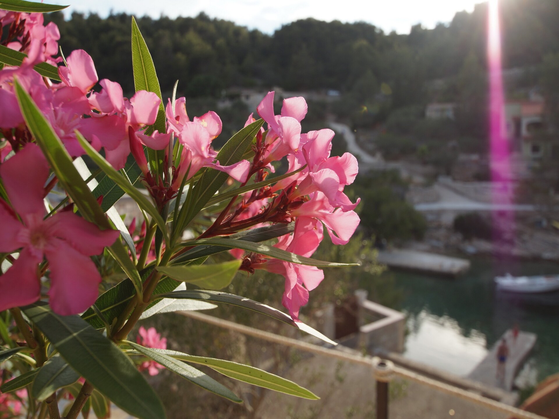 Stone House Mia: Authentiek stenen vakantiehuis met zeezicht in Vela Luka - foto 38