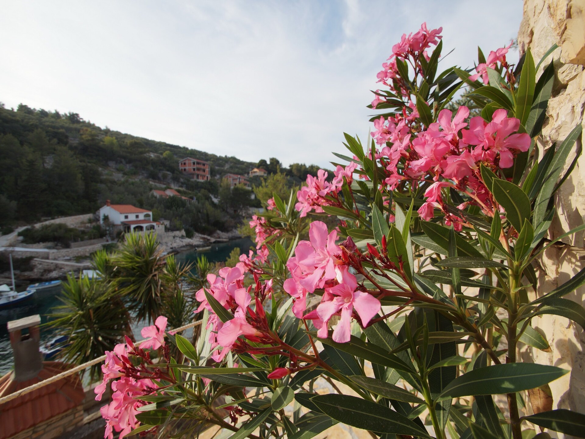 Stone House Mia: Authentiek stenen vakantiehuis met zeezicht in Vela Luka - foto 42
