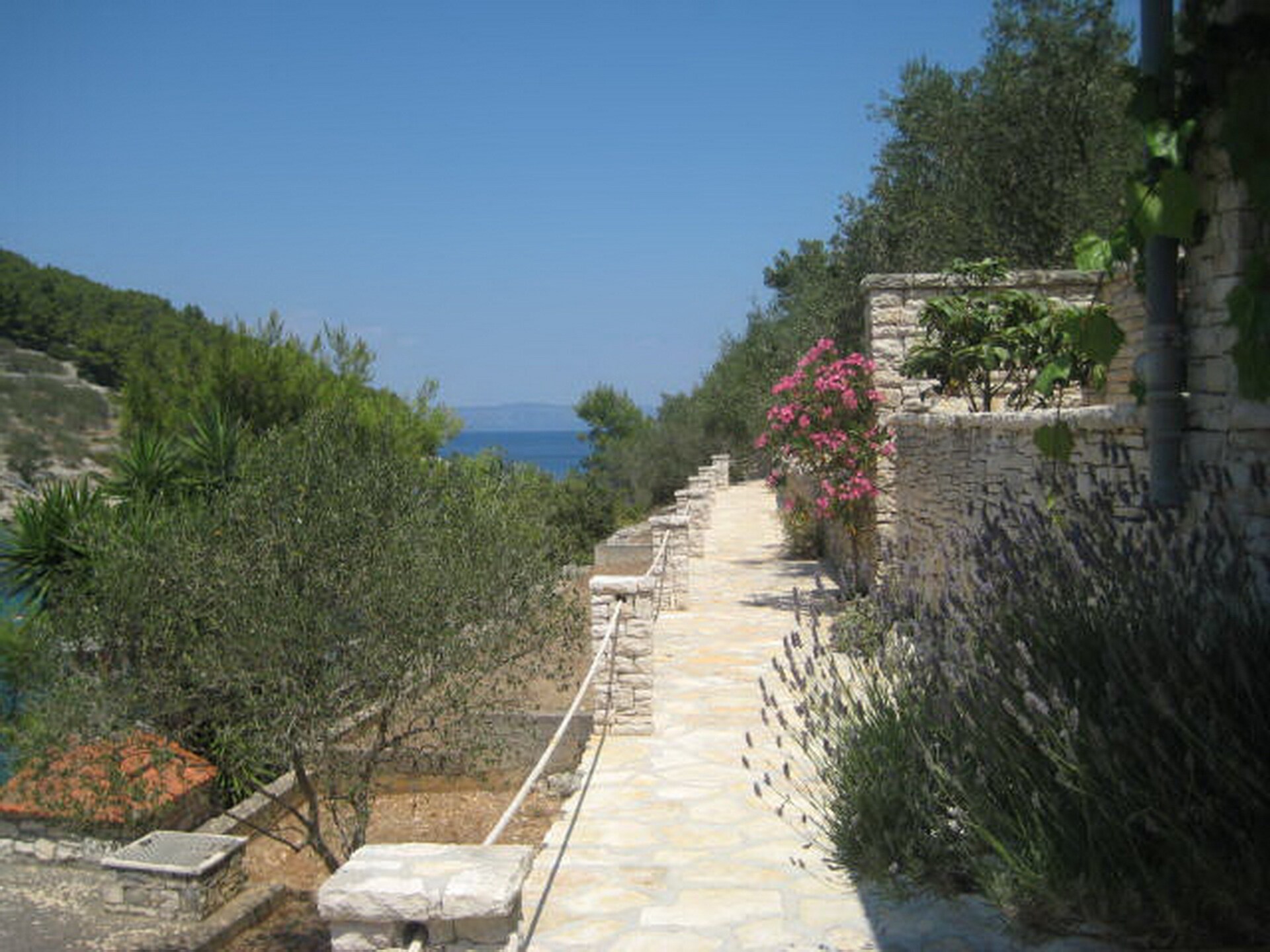 Stone House Mia: Authentiek stenen vakantiehuis met zeezicht in Vela Luka - foto 45