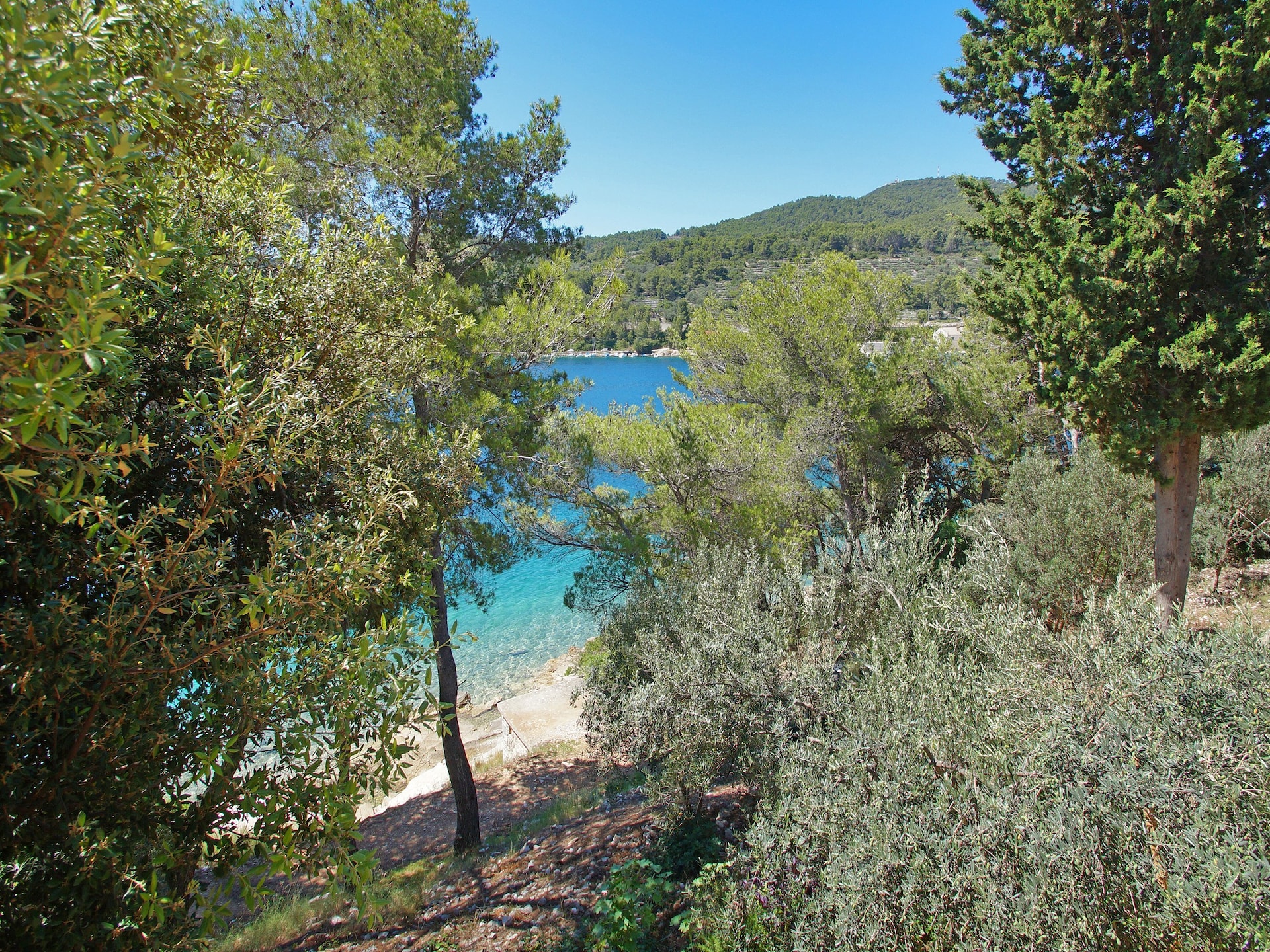 Appartement Dana in Vela Luka: Direct aan zee met terras - foto 43