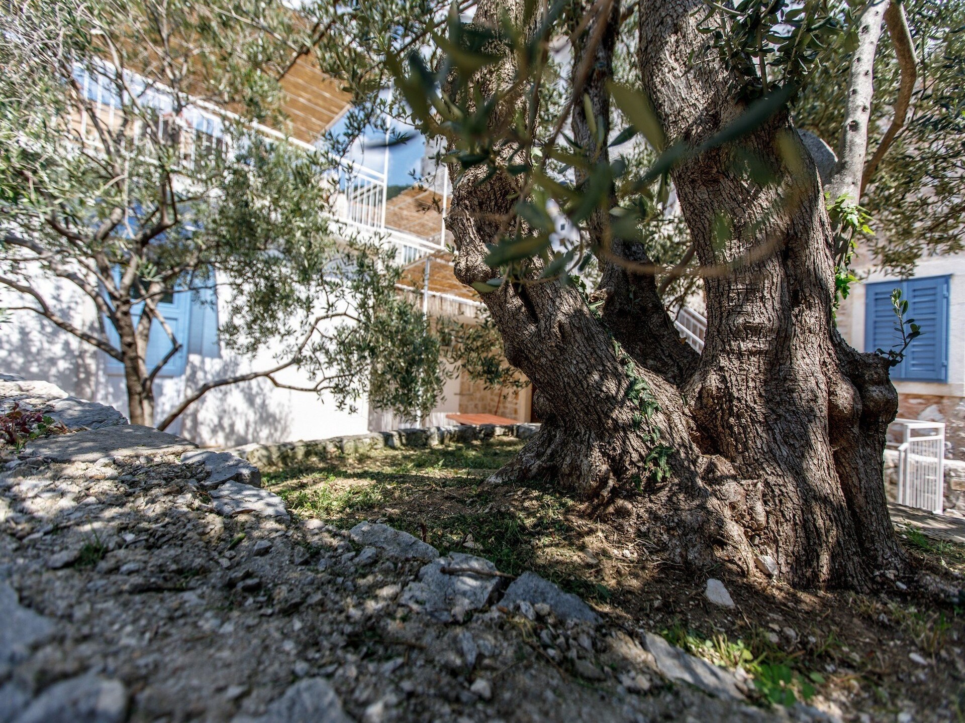 Villa Balarin: Stenen vakantiehuis met terras en uitzicht op zee in Bol, Brač - foto 27