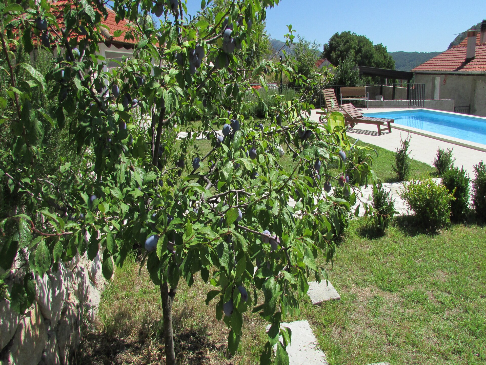 Authentiek vakantiehuis met privézwembad op het schiereiland Pelješac - foto 32