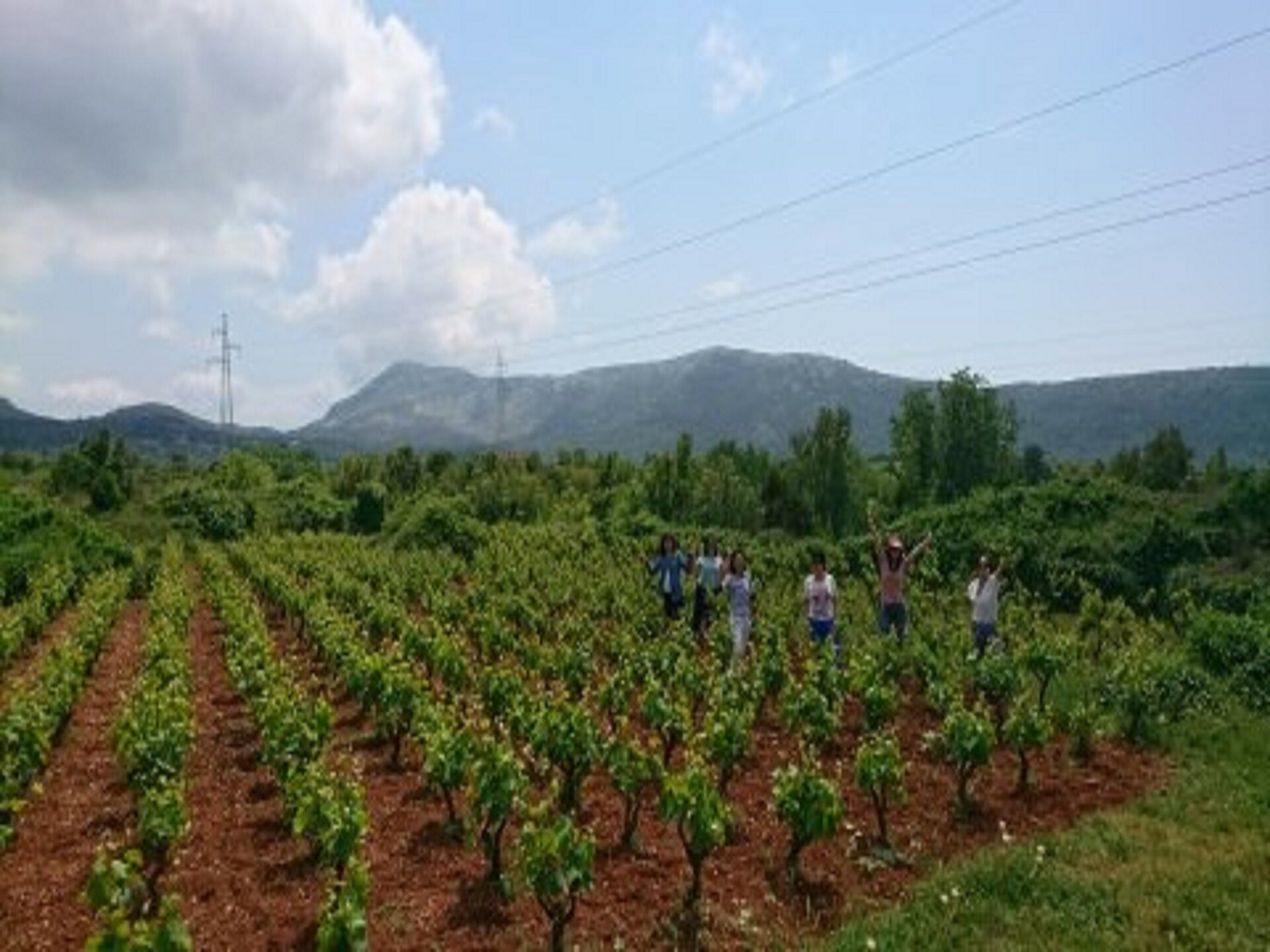 Authentiek vakantiehuis met privézwembad op het schiereiland Pelješac - foto 54