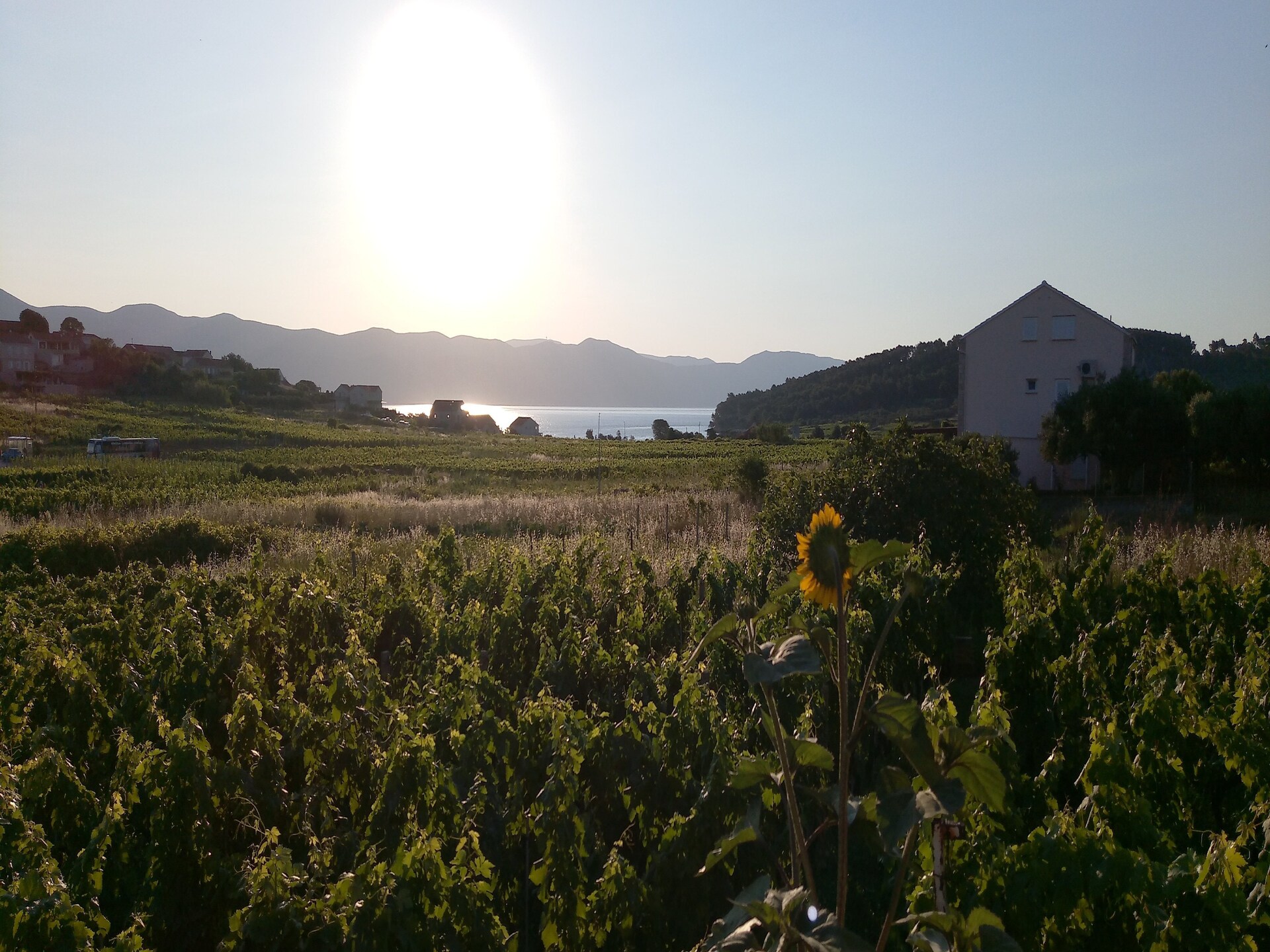 Vakantiehuis Kata: Twee slaapkamers met zeezicht op eiland Korčula - foto 19