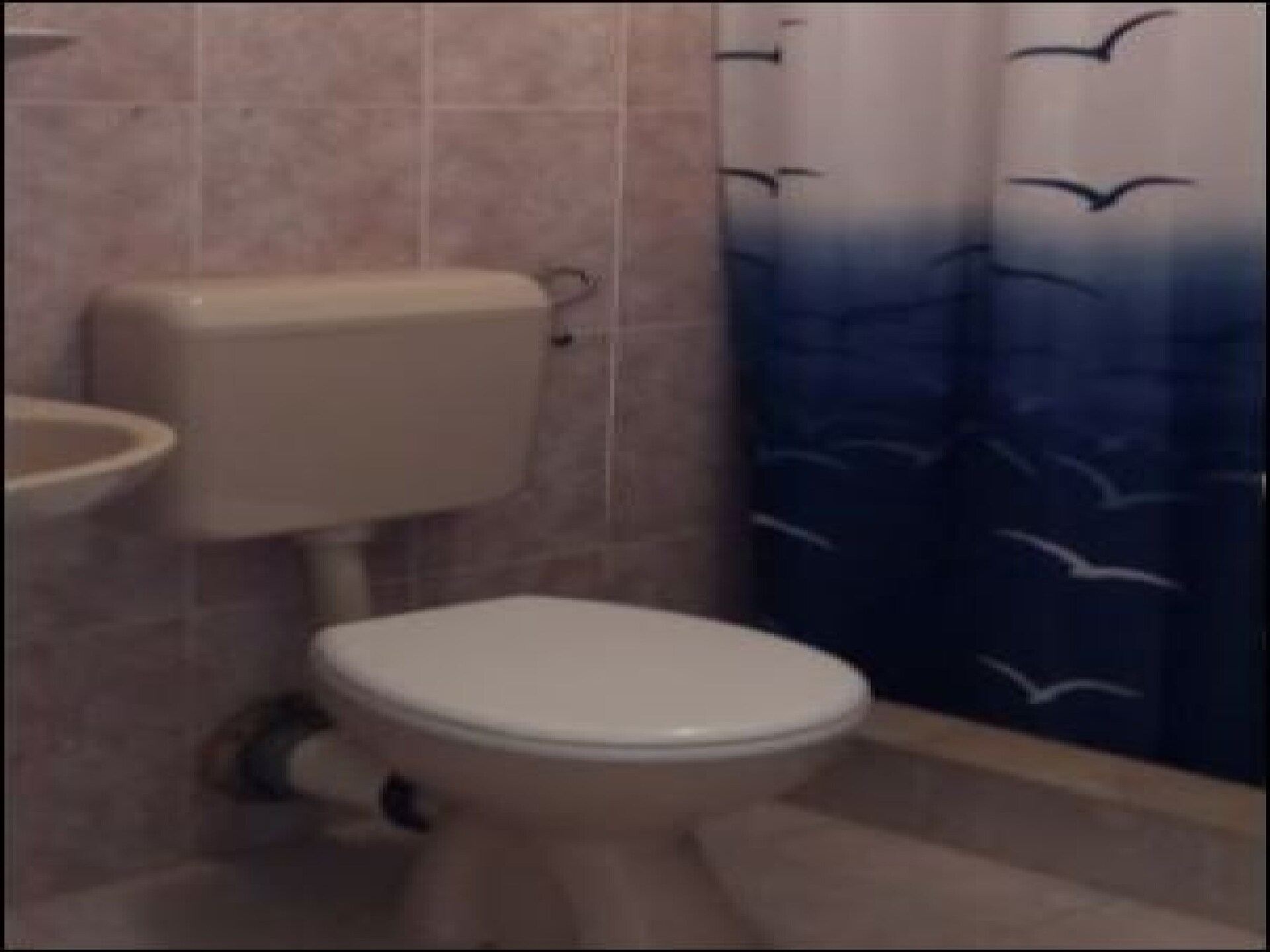 Vakantiehuis Kata: Twee slaapkamers met zeezicht op eiland Korčula - foto 7