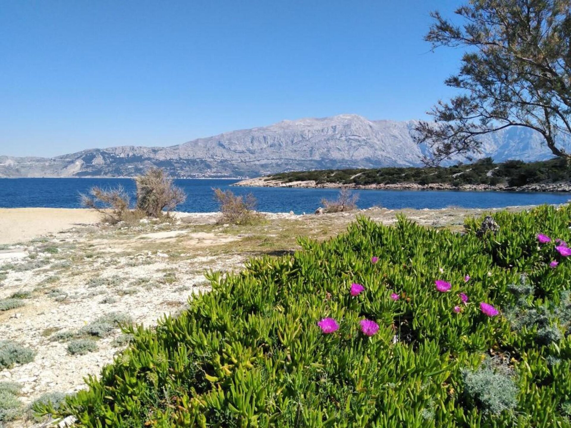 Studio aan zee in Povlja, Brač – 50m van strand met terras en BBQ - foto 9