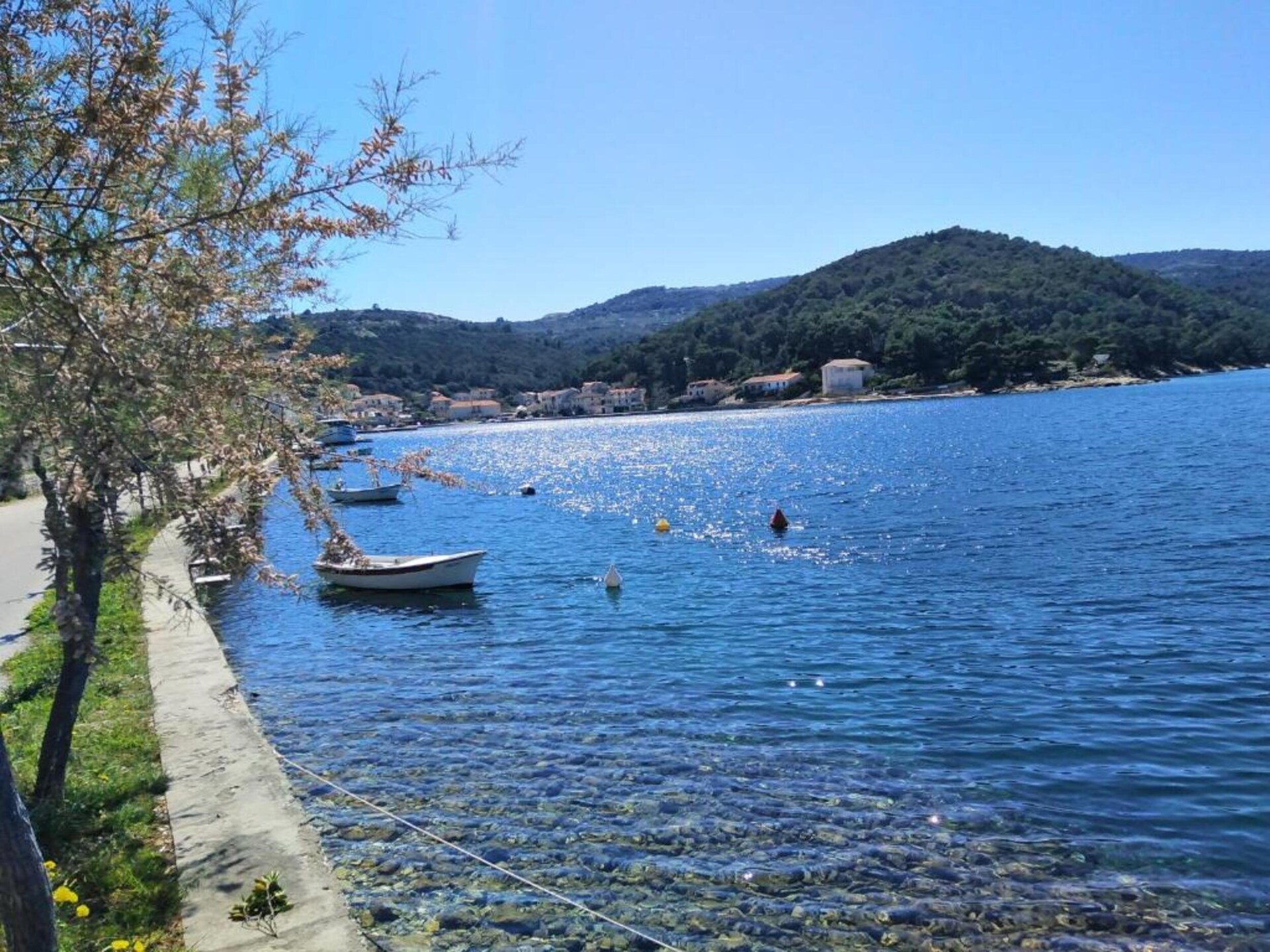 Studio aan zee in Povlja, Brač – 50m van strand met terras en BBQ - foto 7
